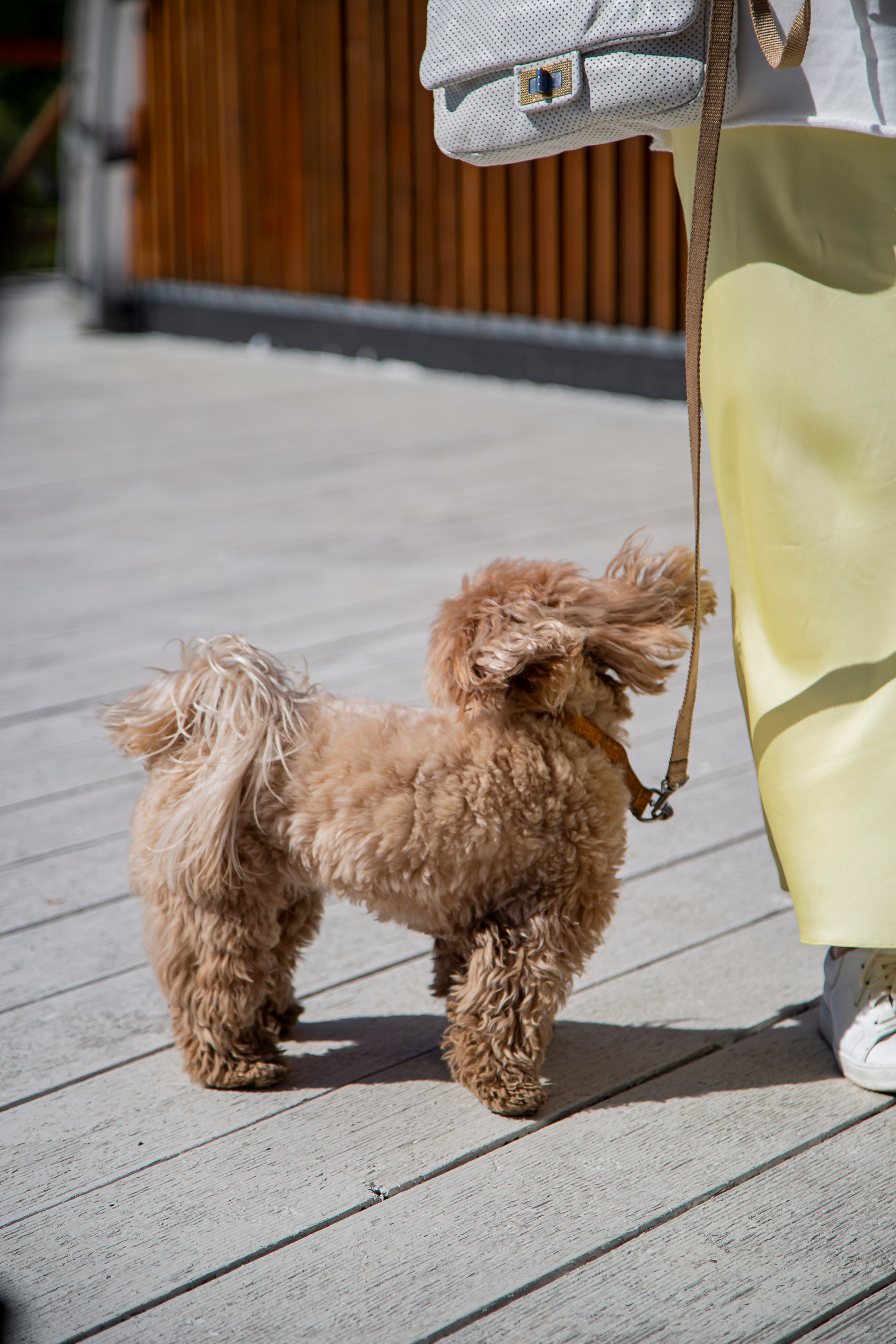 Юбилей. 𝓕𝓸𝓽𝓸𝓰𝓻𝓪𝓯 𝓑𝓪𝓵𝓪𝓼𝓱𝓲𝓱𝓪 / 𝓜𝓸𝓼𝓴𝓿𝓪