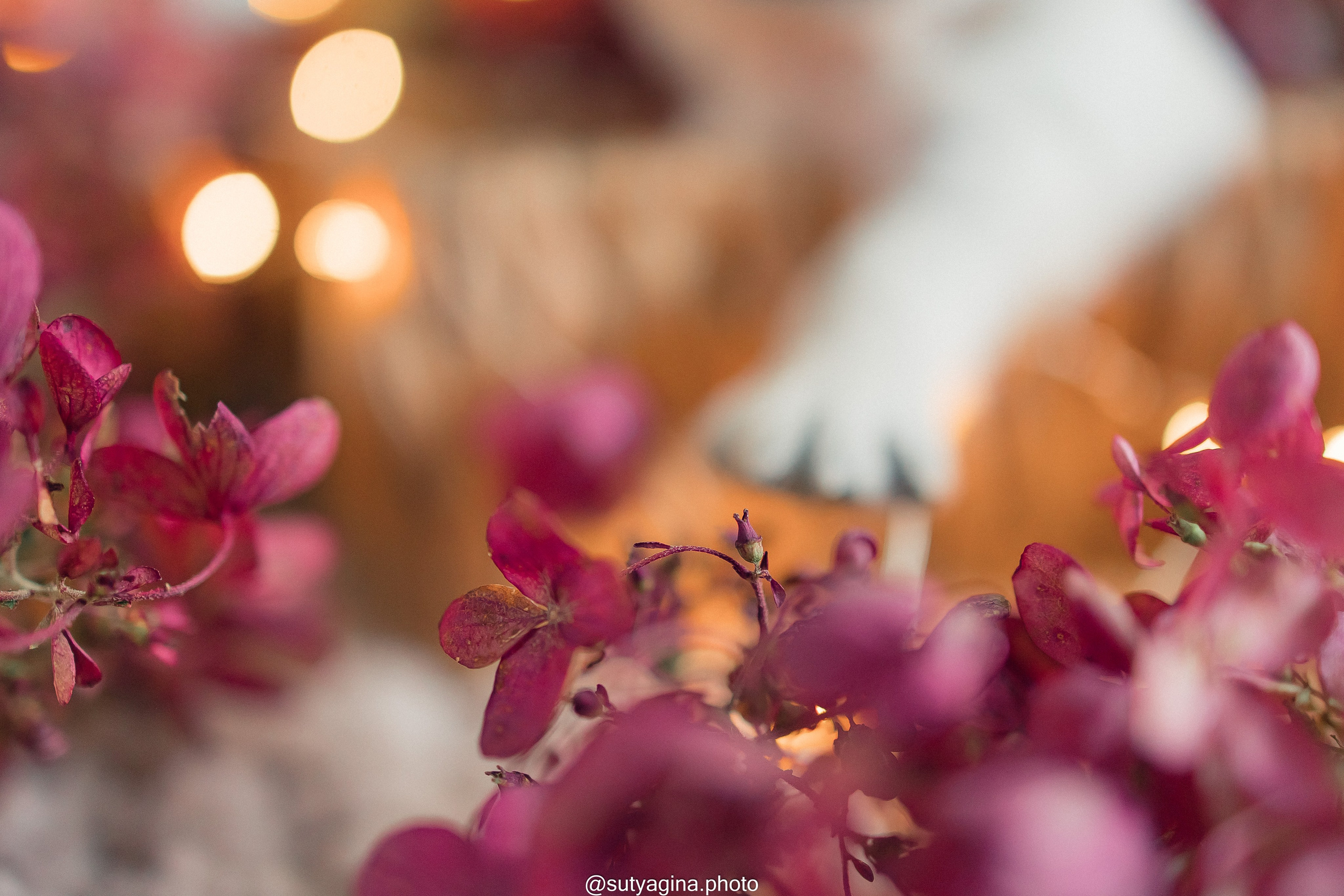 Фиолетовая лента. Свадебный и женский фотограф