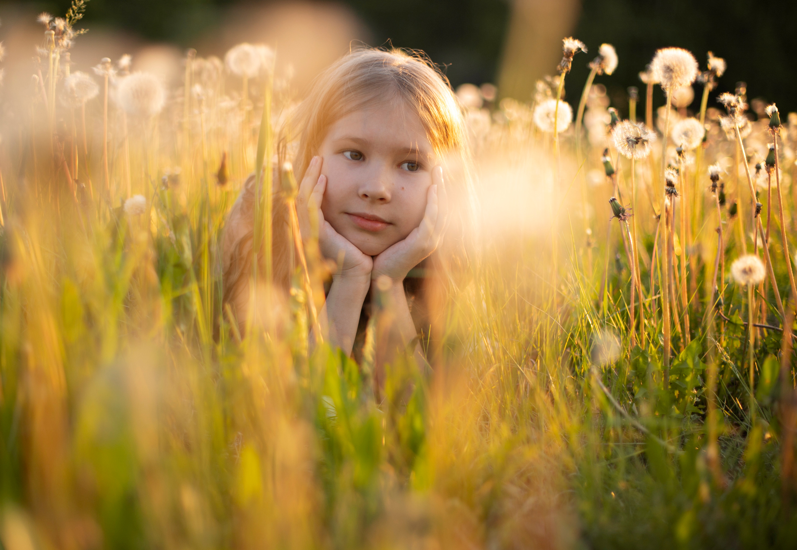 Фотопрогулки. Семейный фотограф в Красноярске Наталья Алина