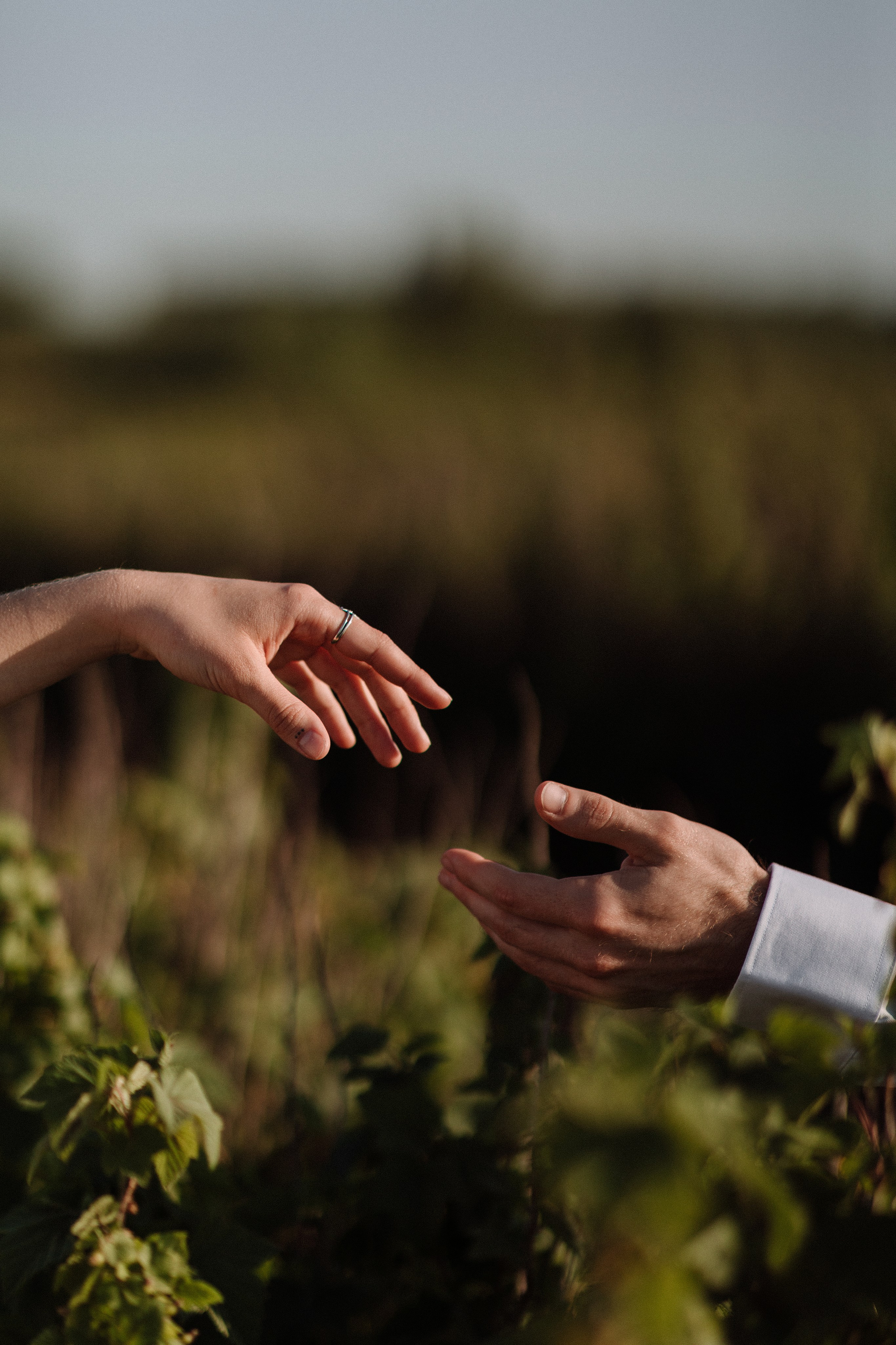 Солнце мое. Свадебный фотограф |Орел|Москва Анна Плешкова