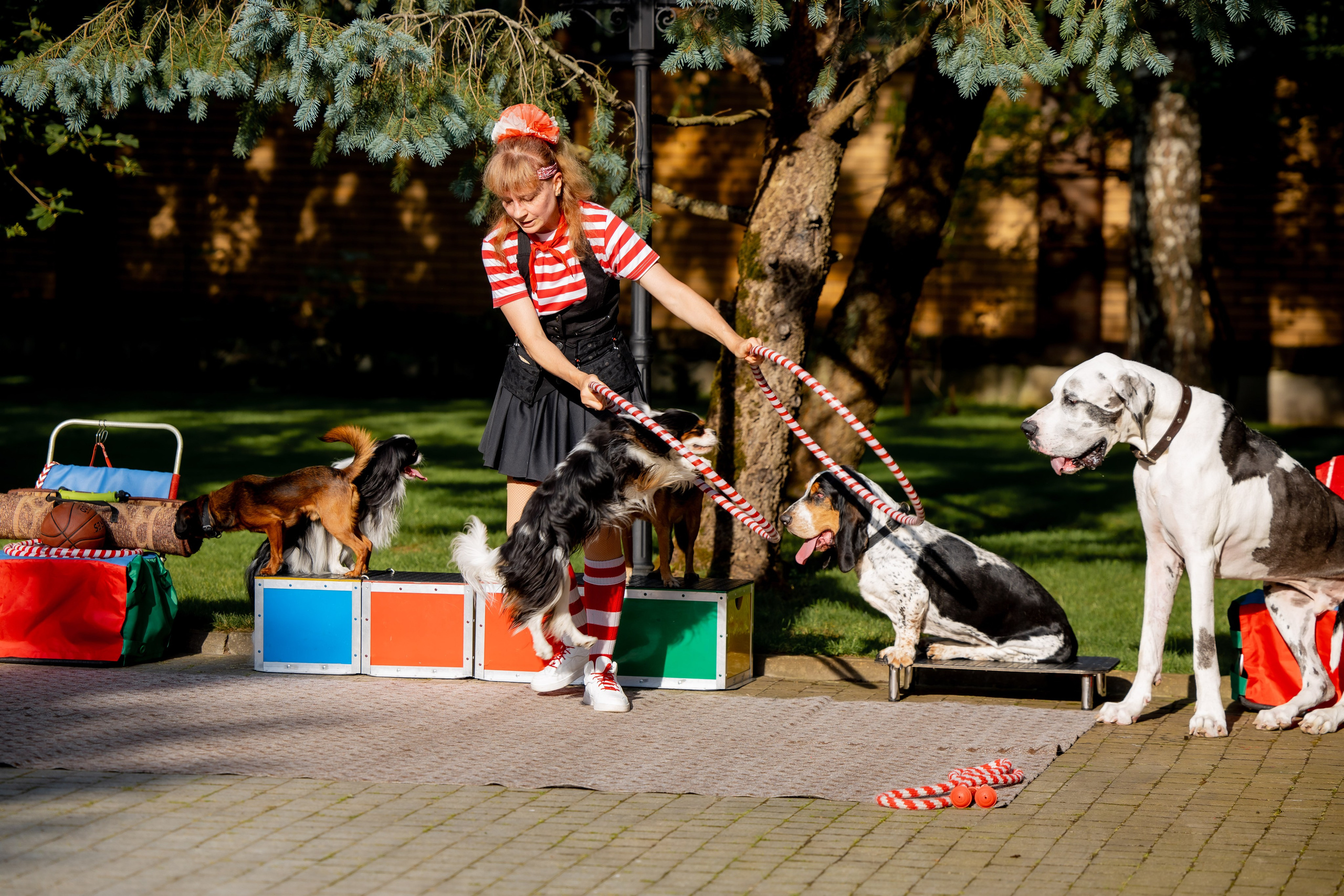 Детские праздники. Семейный фотограф в Москве