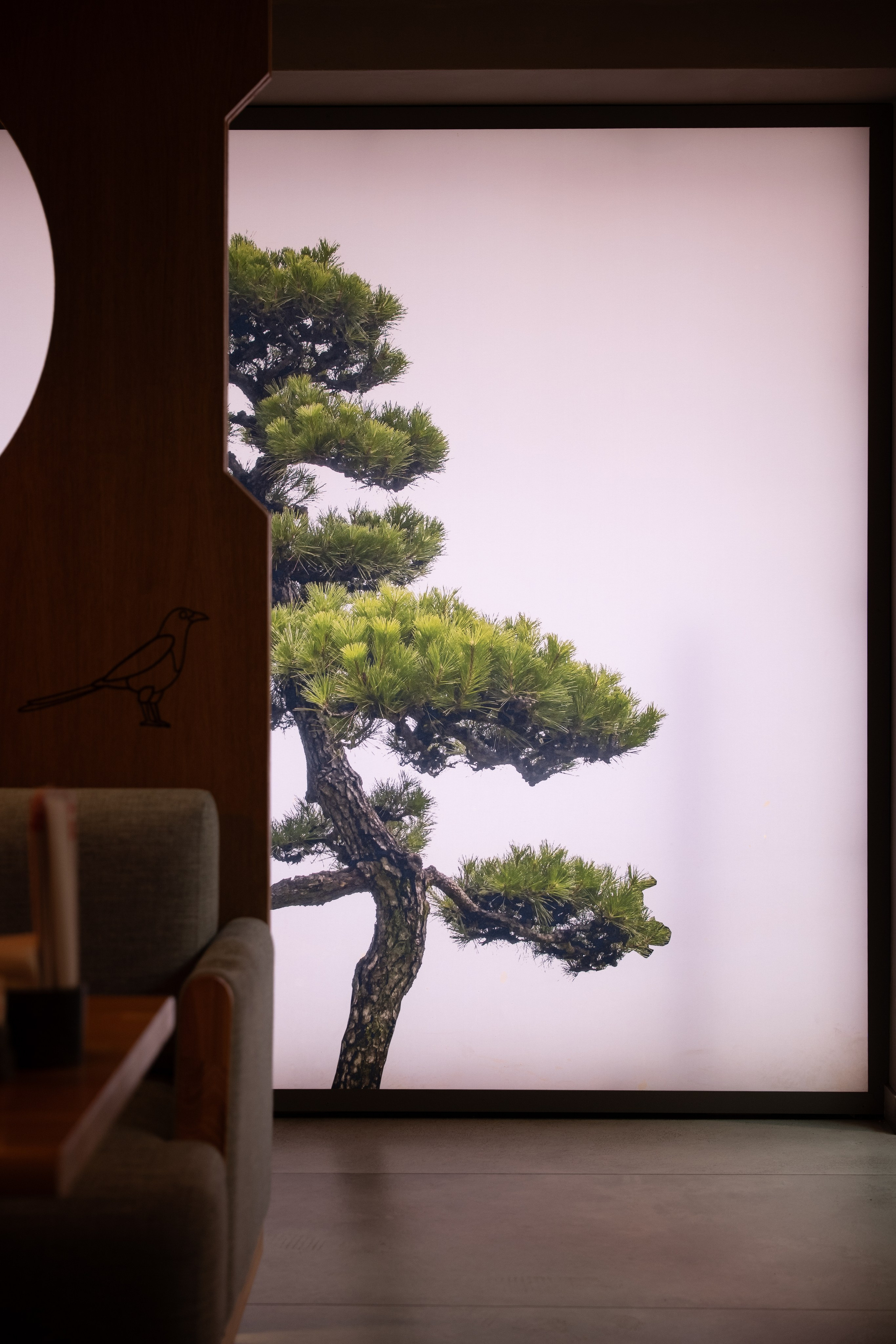 Интерьеры. Создание контента | Фото | Видеосъемка | Александр Ярков