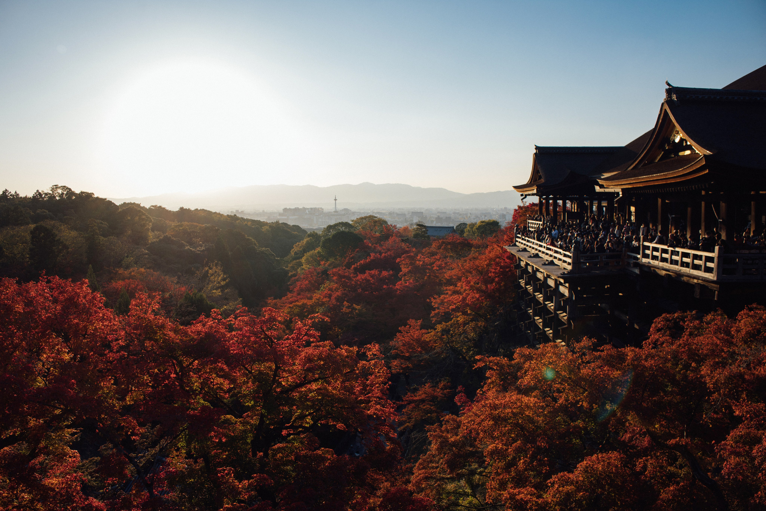 Япония. Главная