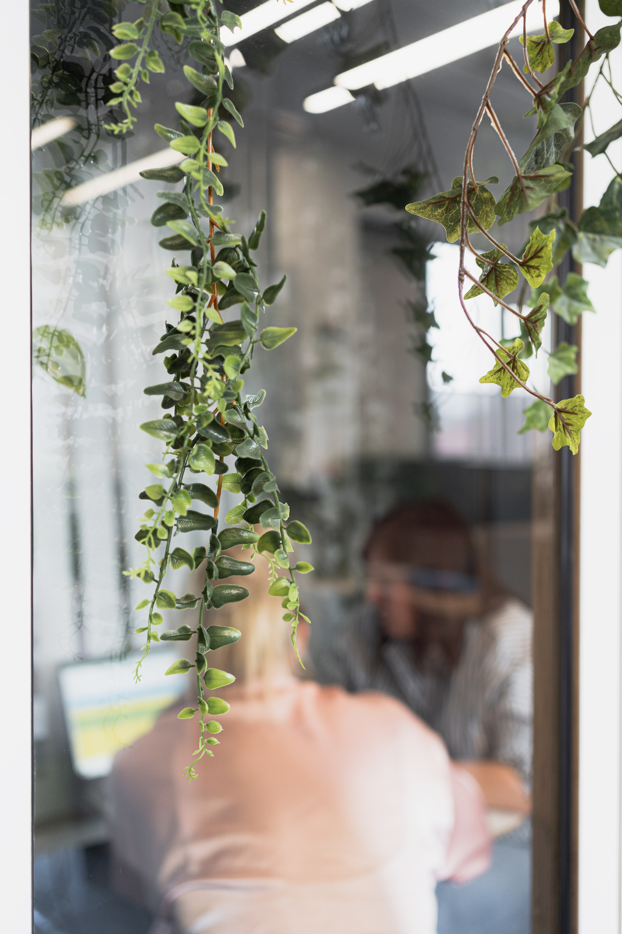 Terra. Елена Пашкевич, фотограф, Москва