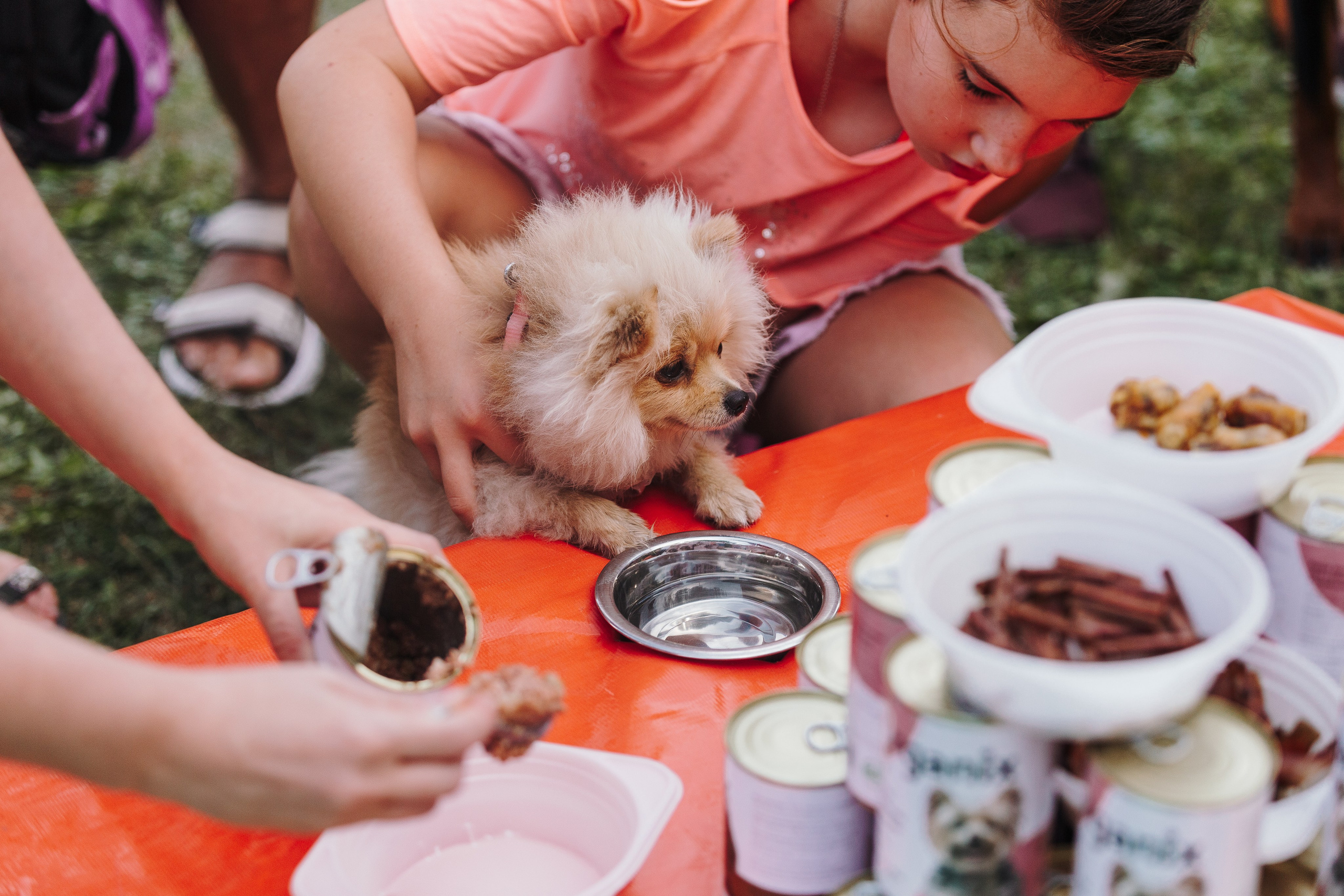 Petshop Sup day. Фотограф анималист Кристина Карпова, Москва