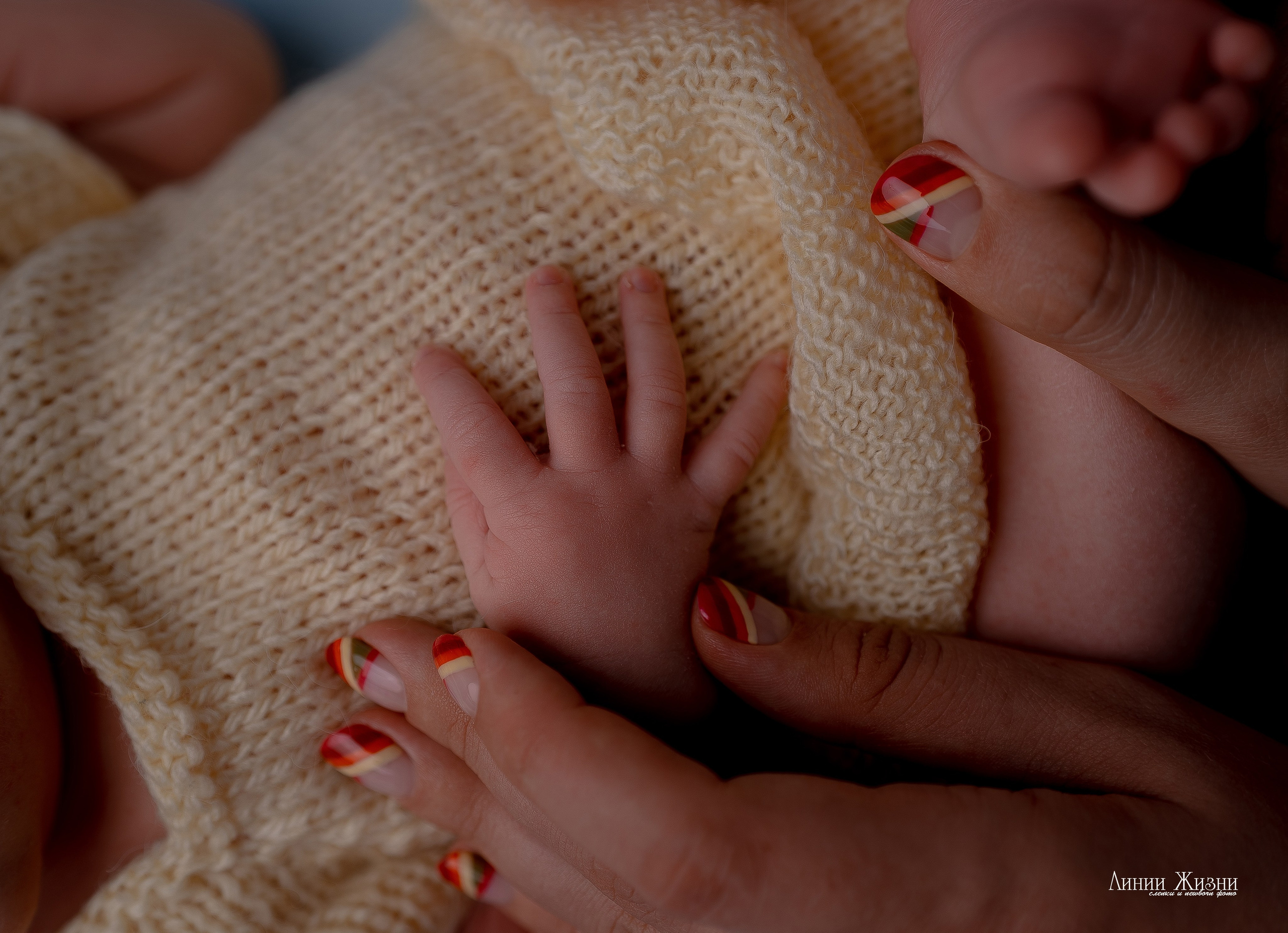 Альбина 14 дней. Фотограф новорожденных в Нижнем Новгороде Сергеева Оксана