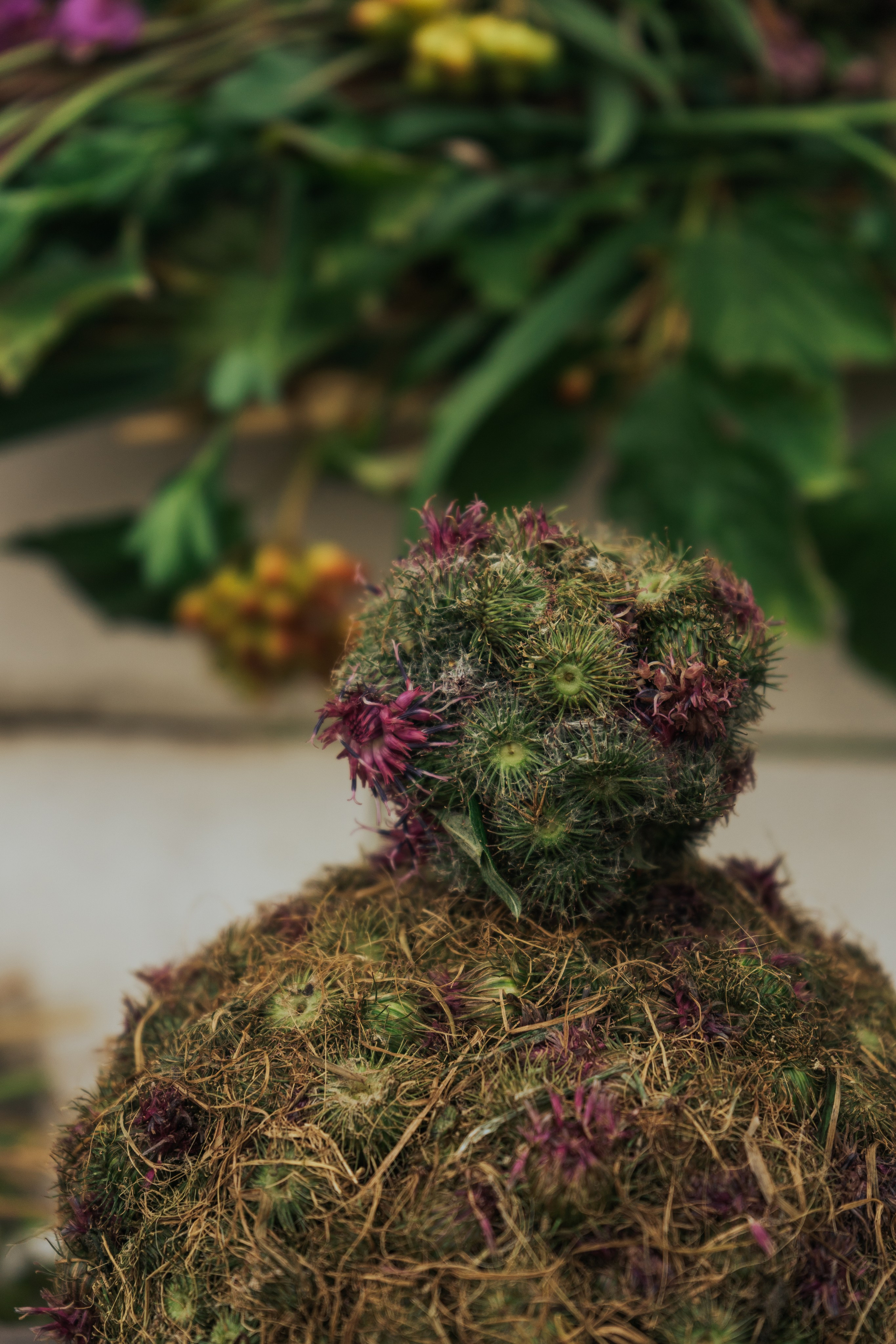 Ретрит от т-центра Псайторий 2024. Портретный фотограф Нижний Новгород