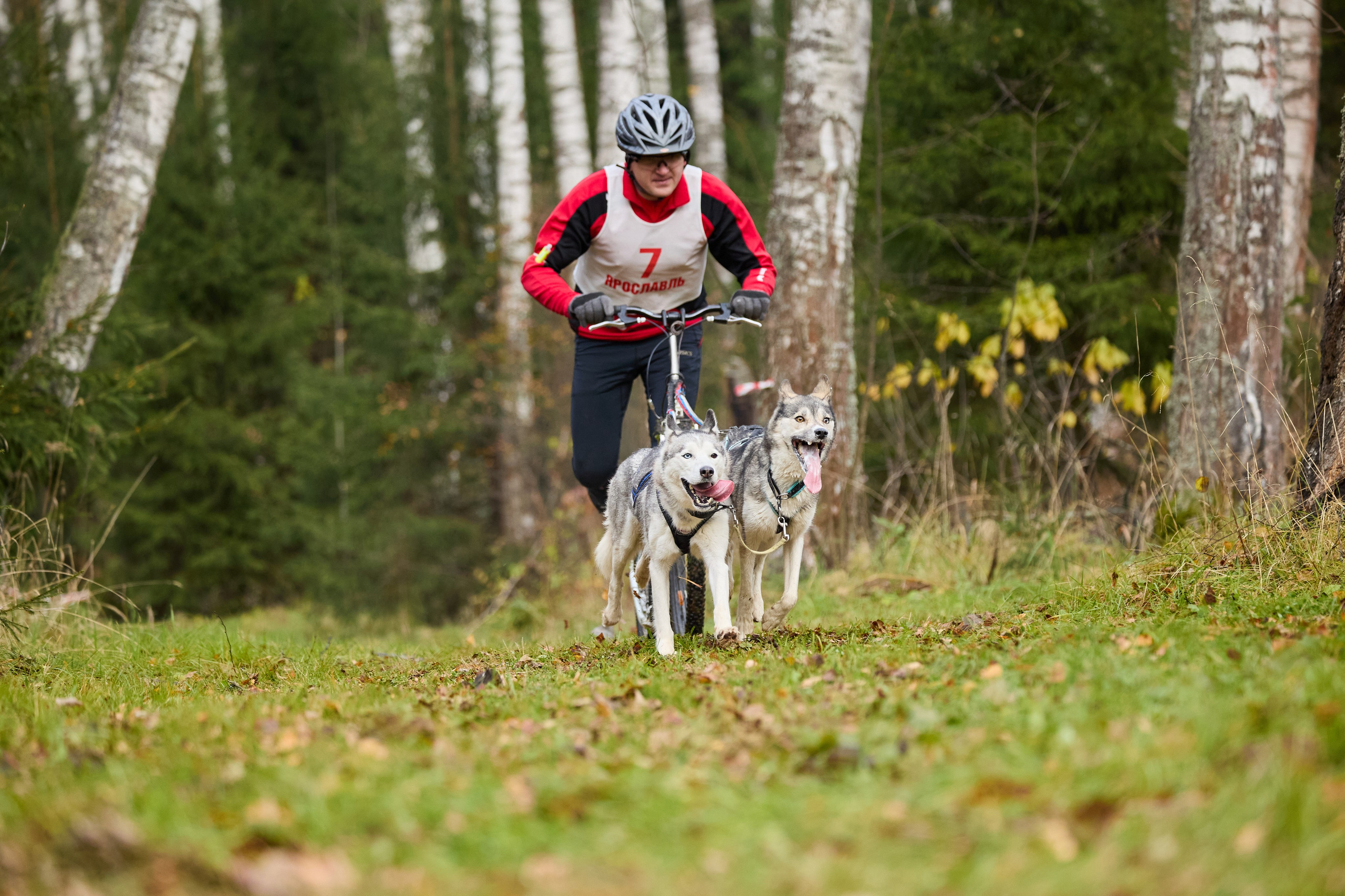 Чемпионат по ЕС Ярославской области. Фотограф Ирина Астор