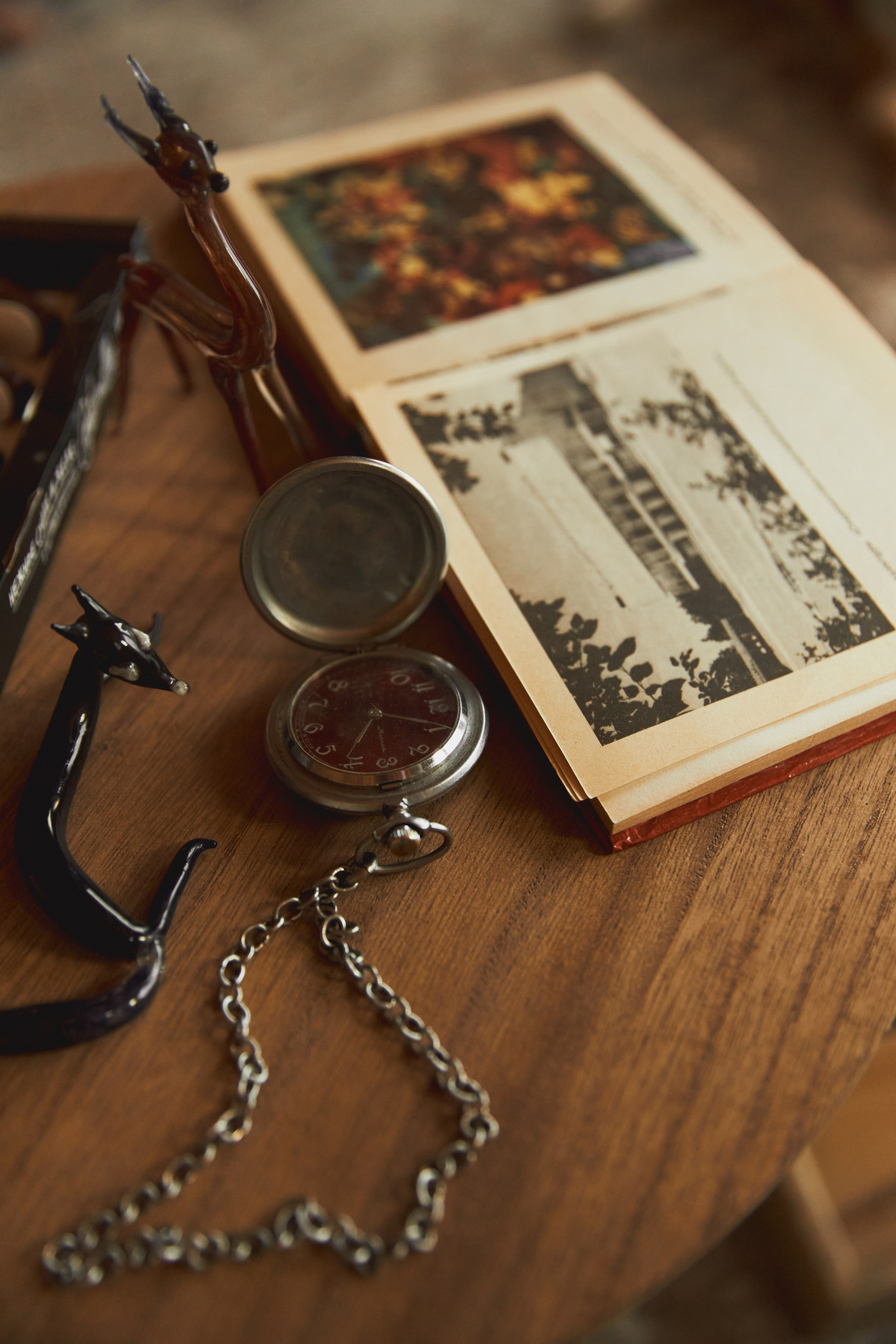 Мед и Дерево. Семейный и свадебный фотограф Лилия Матонина | Ангарск, Иркутск, Усолье-Сибирское, Байкал (Листвянка, Ольхон), Иркутская область