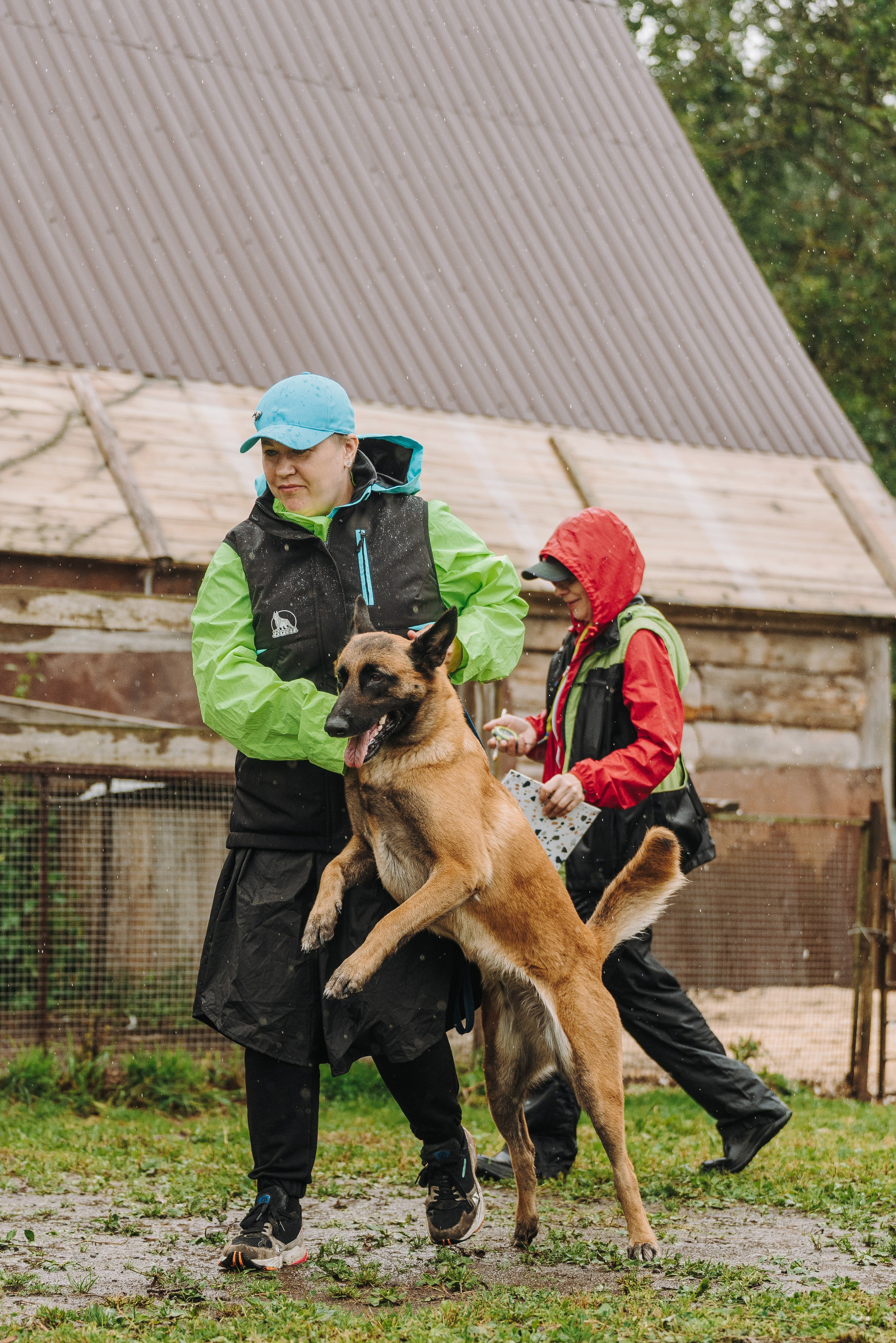 Соревнования по ноузворку в Новожилово. Фотограф анималист в Спб недорого Олеся Майорова
