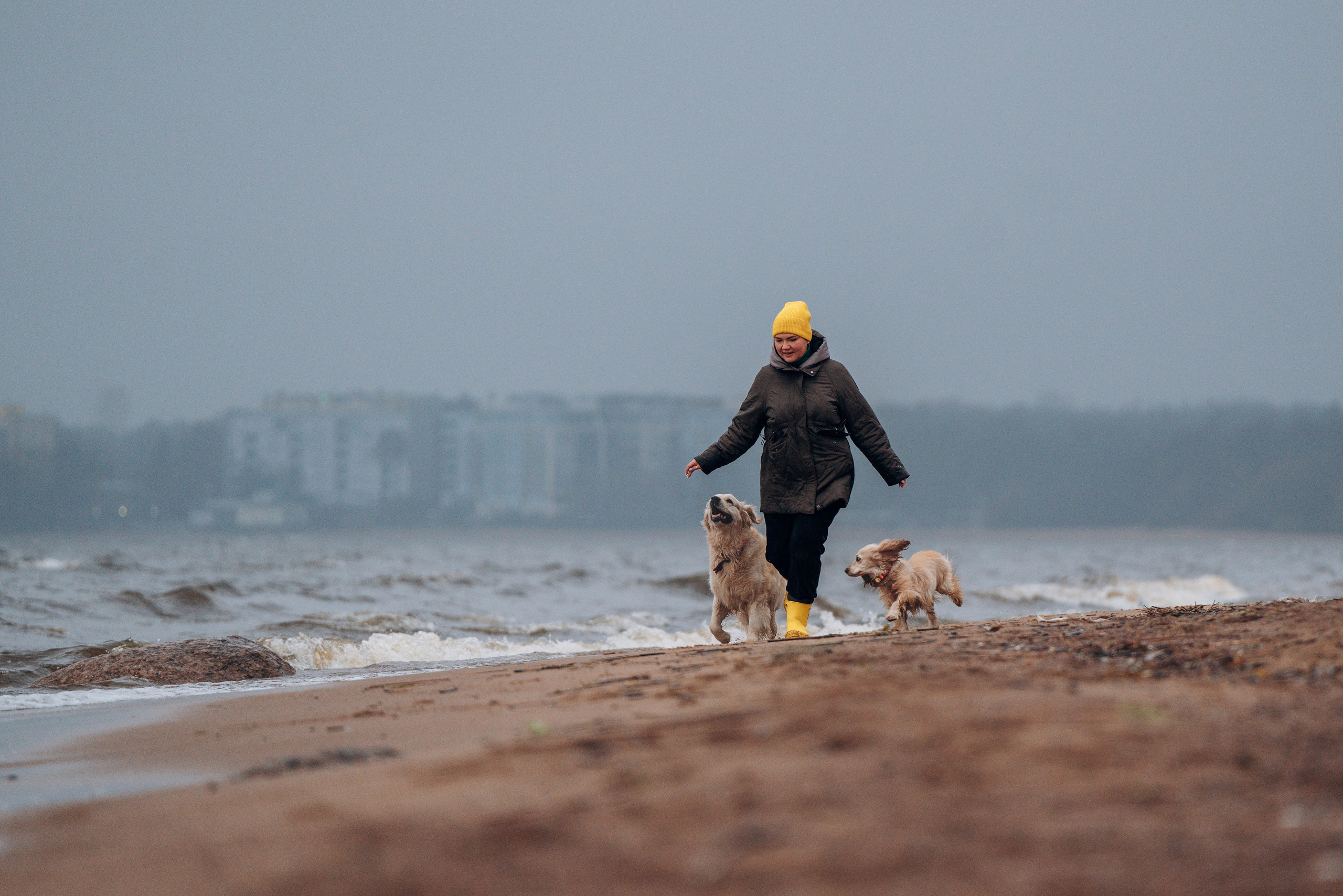 Асти, Крис и Александра. Фотограф анималист в Спб недорого Олеся Майорова
