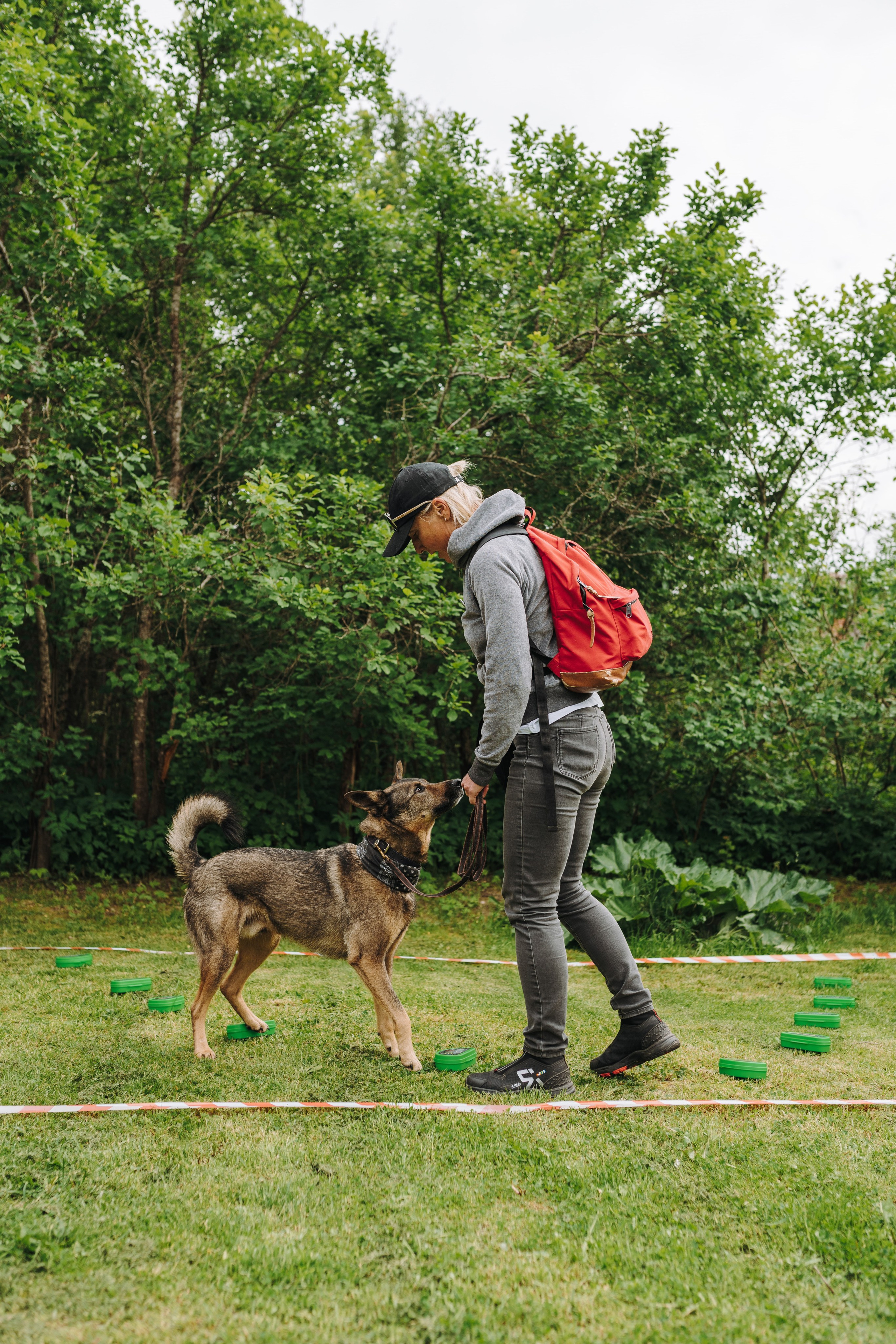 Соревнования по ноузворку. Фотограф анималист в Спб недорого Олеся Майорова