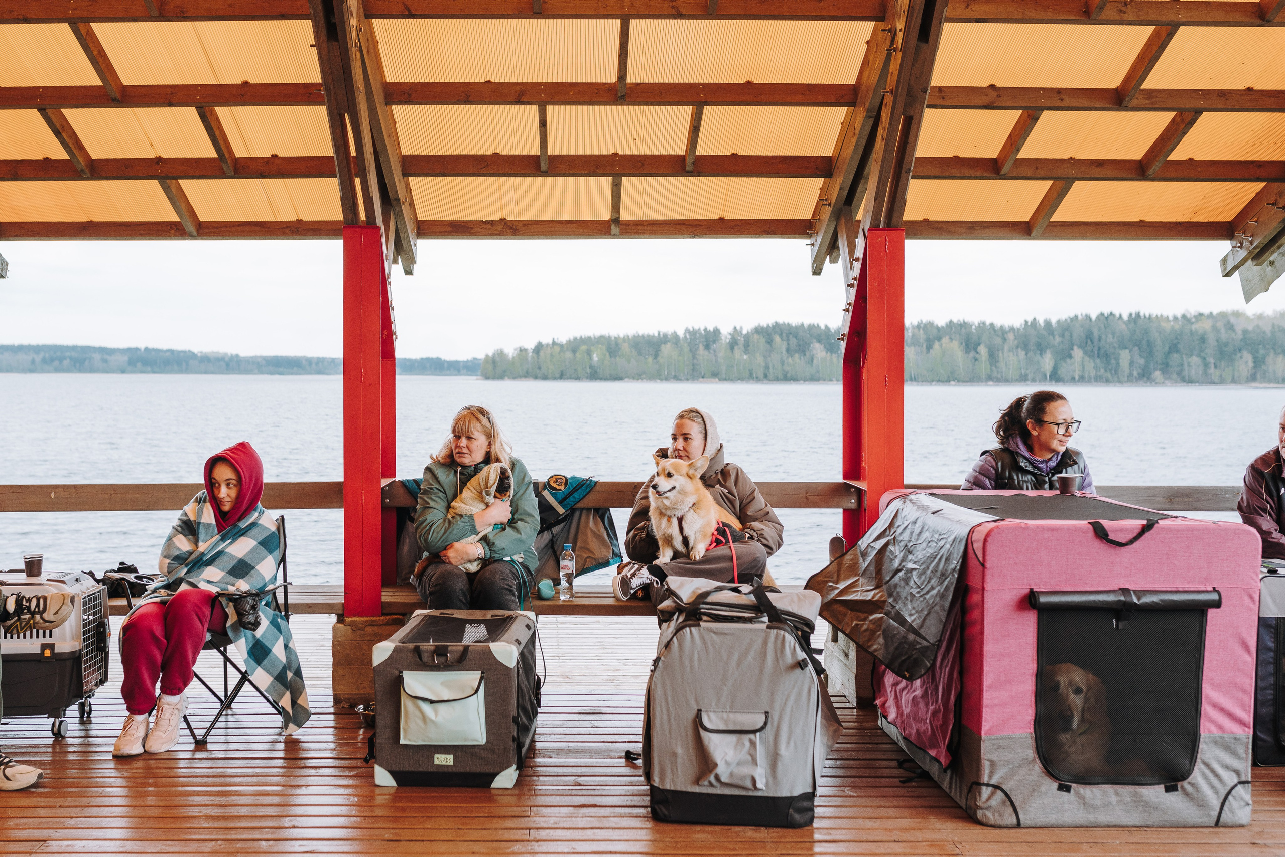 Соревнования по ноузворку в Лосево. Фотограф анималист в Спб недорого Олеся Майорова