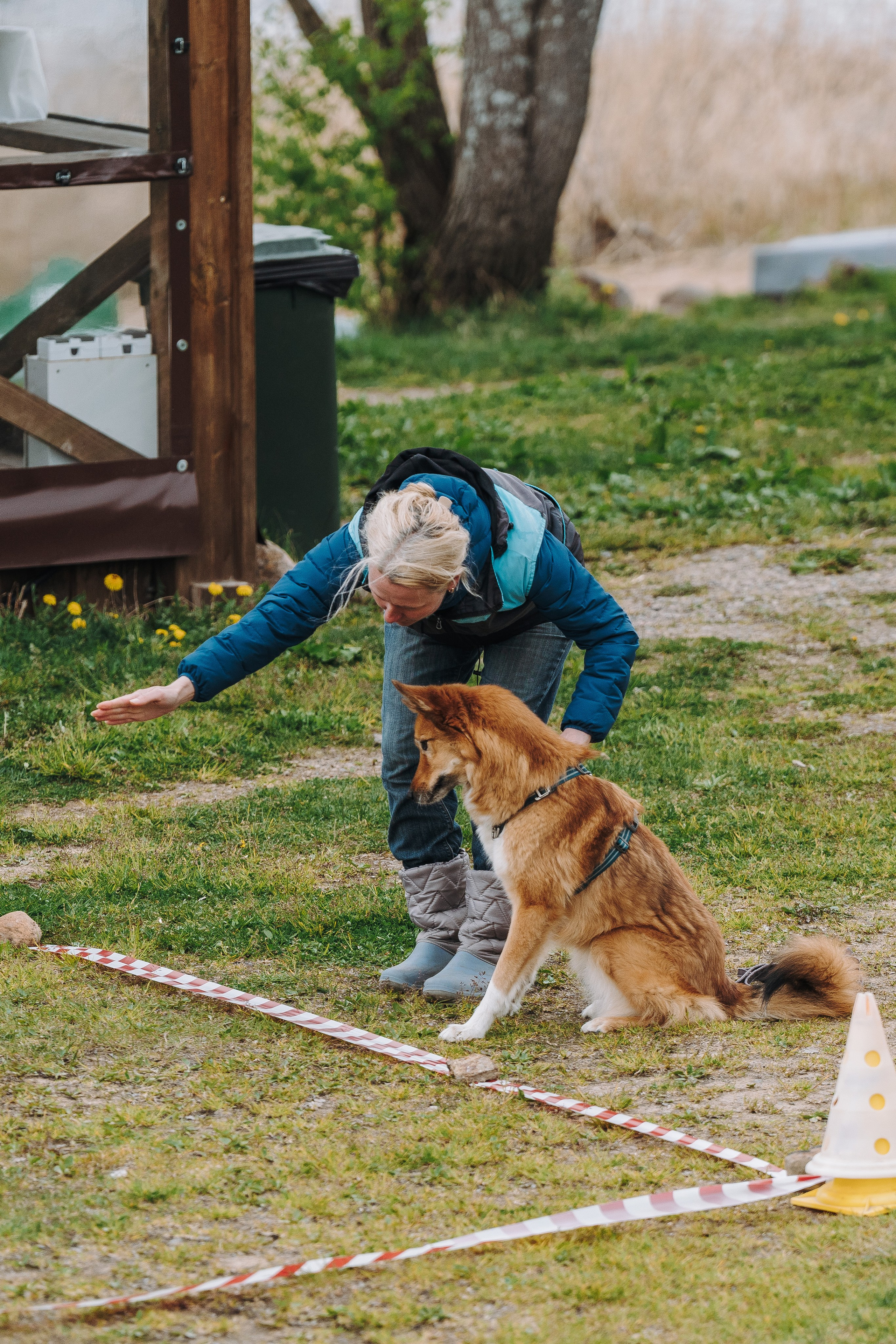 Соревнования по ноузворку в Лосево. Фотограф анималист в Спб недорого Олеся Майорова