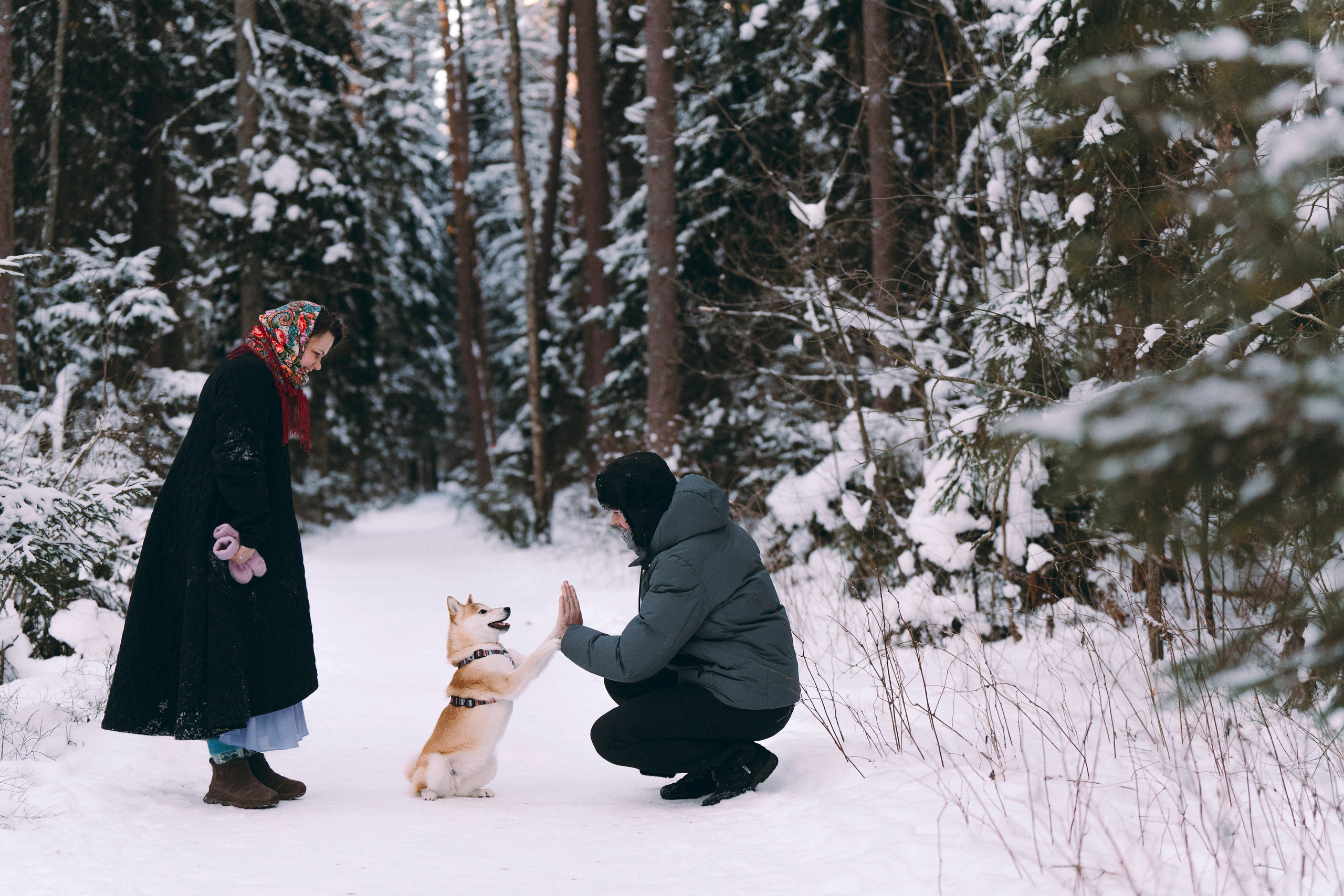Каори, Анна и Антон. Фотограф анималист в Спб недорого Олеся Майорова