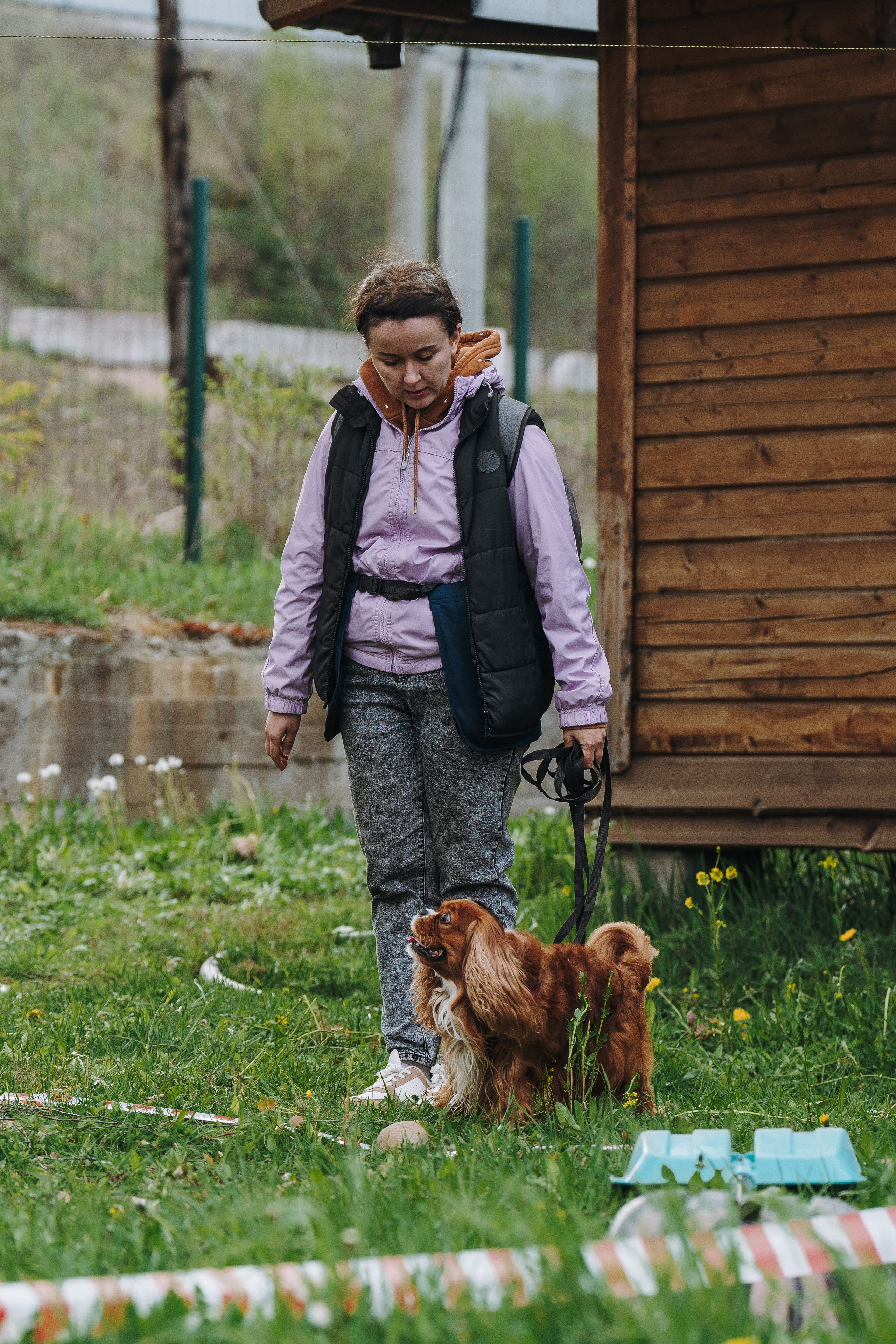 Соревнования по ноузворку в Лосево. Фотограф анималист в Спб недорого Олеся Майорова