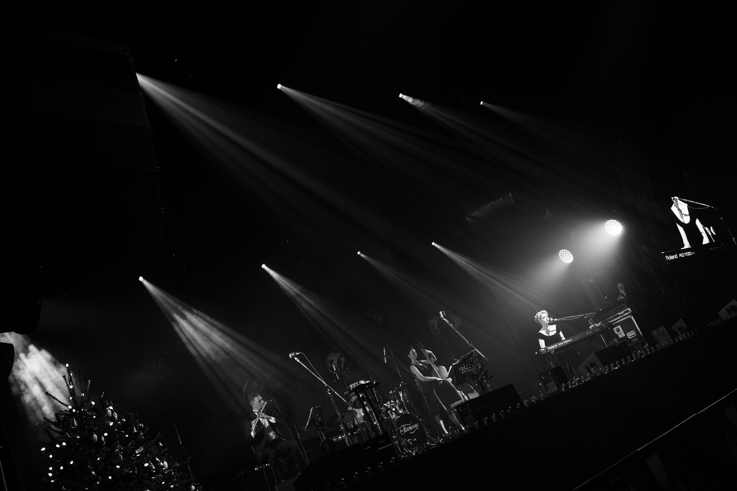 VIA “Tatiana” & “Micos Clown”. Wedding Event ART Photographer