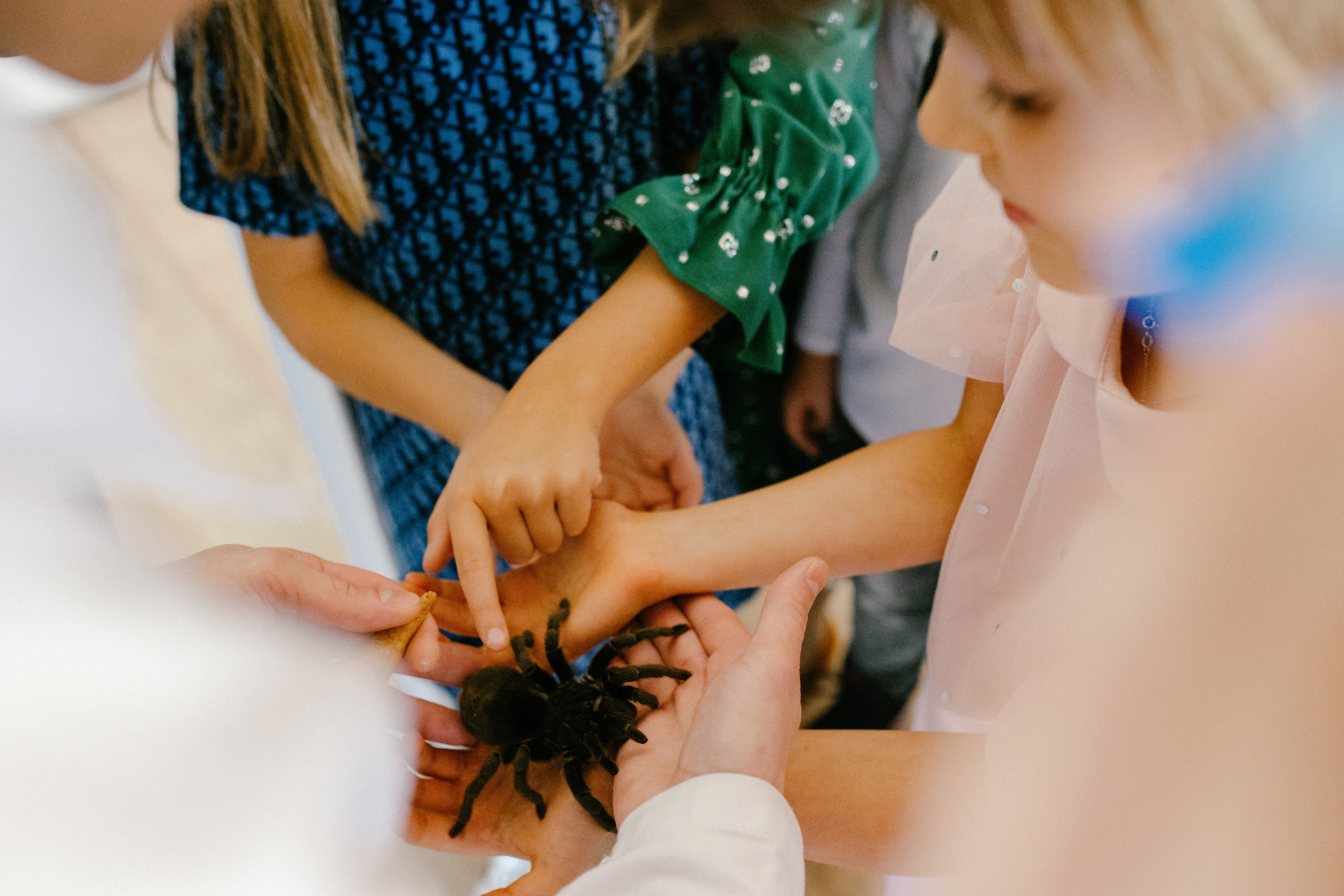 Birthday’s party “StarWars”. Wedding Event ART Photographer