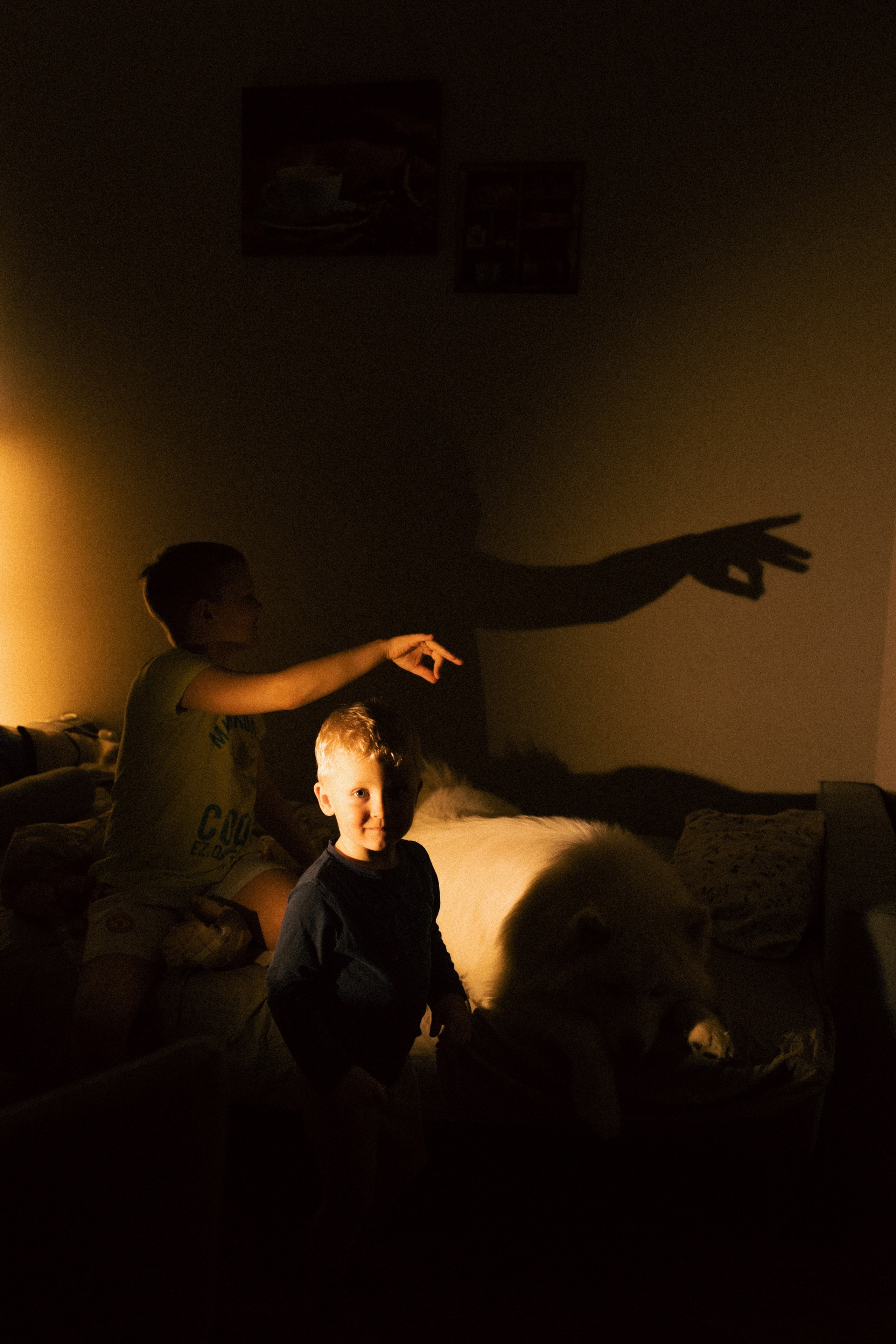 Мальчишки. Фотограф анималист в Москве Майорова Евгения