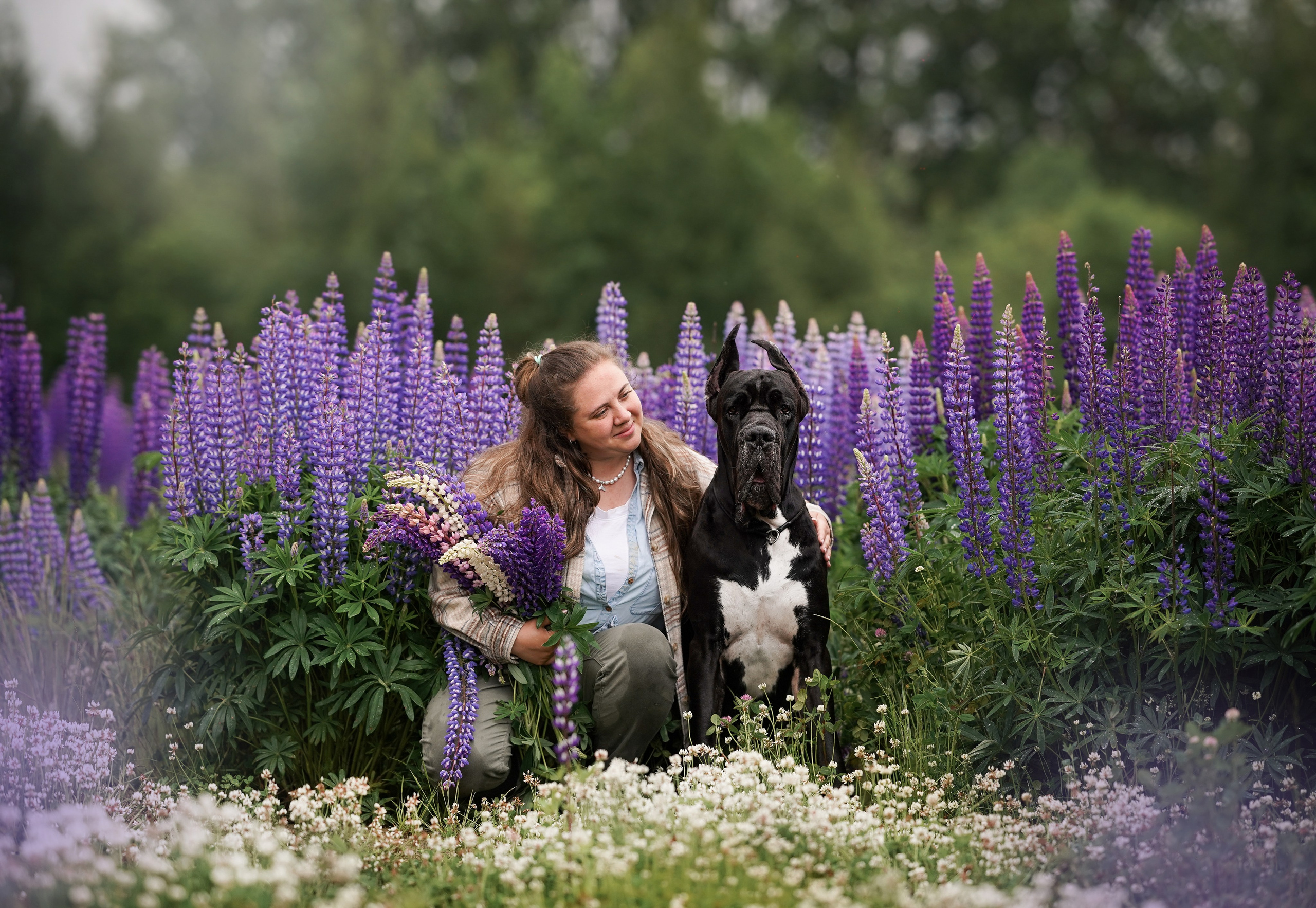 Вика и Трофей люпины. Фотограф-анималист в Санкт-Петербурге Яна Мартынова