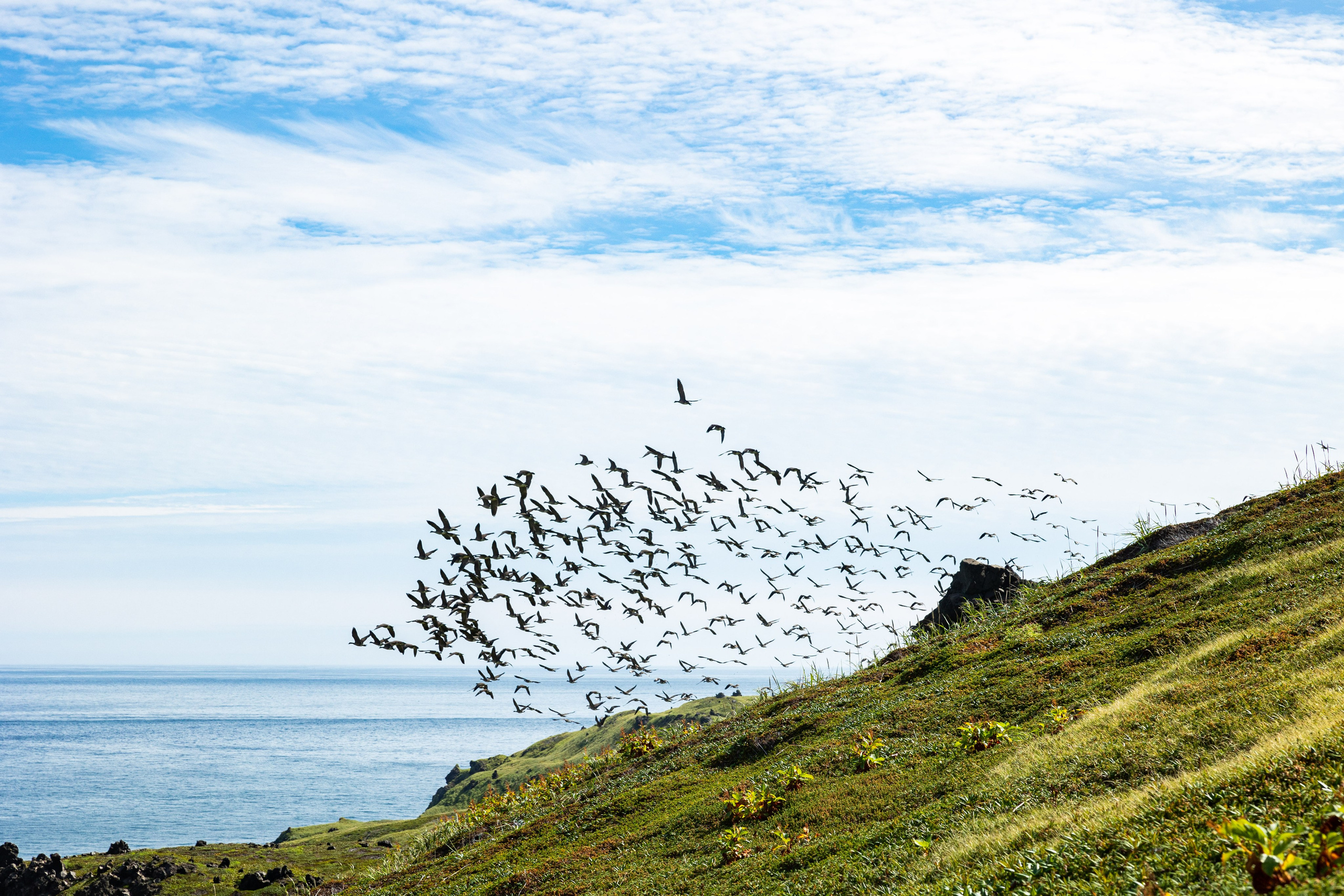 Экспедиция по Северным Курильским островам с Vasta. Фотограф Красная Поляна — Сочи — Москва