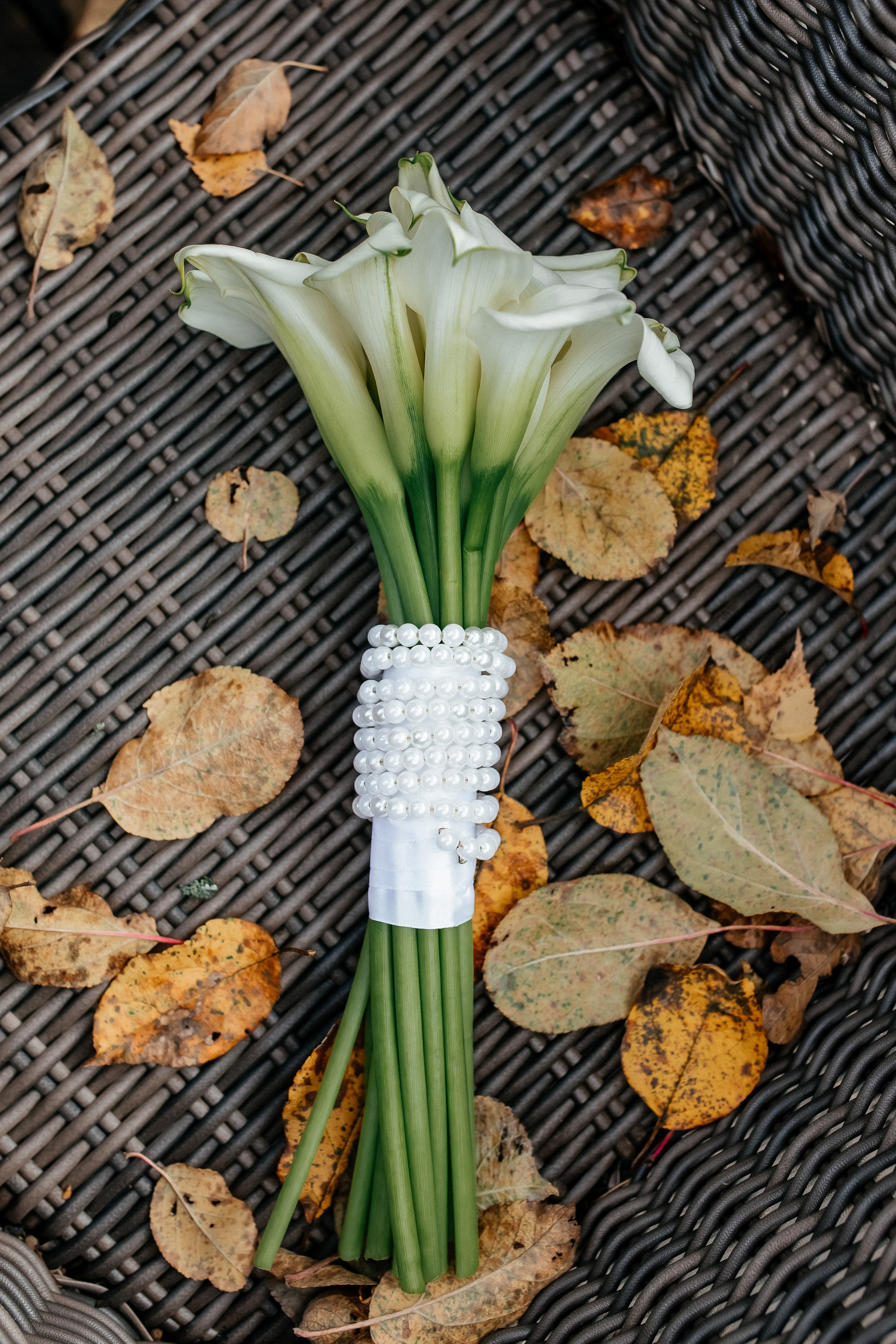 Ирина и Максим. Домодедовский ЗАГС и прогулка. Профессиональный фотограф, Москва |Видное Елена Елизарова