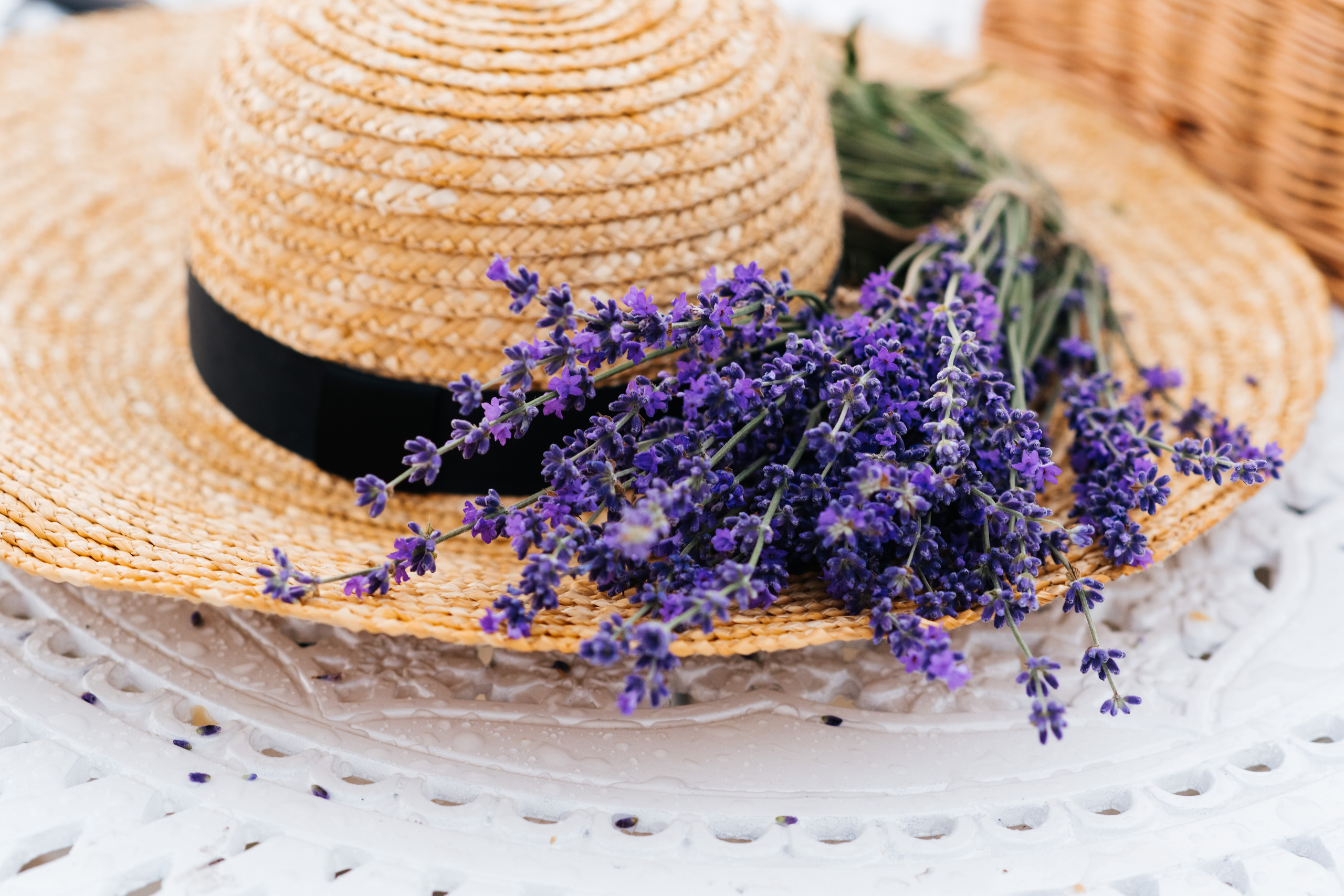 Фото-День «Лаванда». Главная