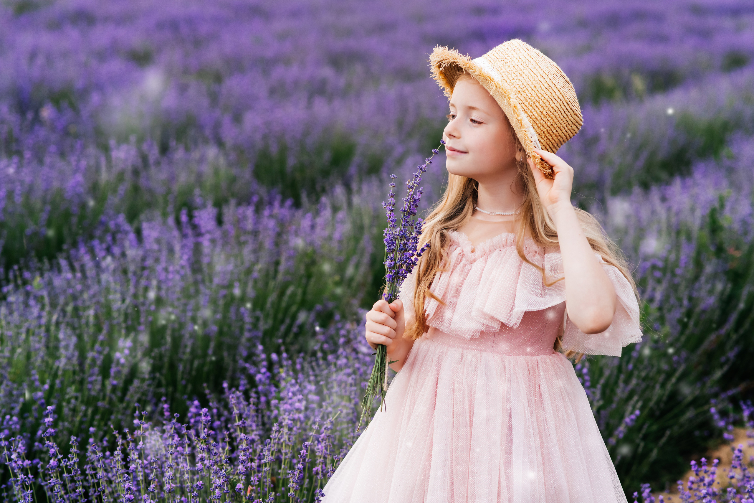 Фото-День «Лаванда». Главная