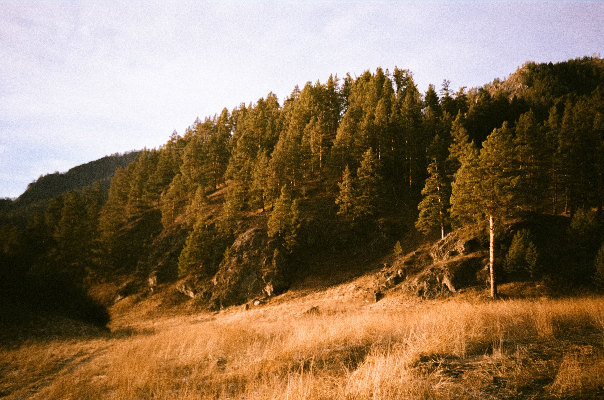 Поле у вертолетной площадки в день зимнего солнцестояния / 22 декабря