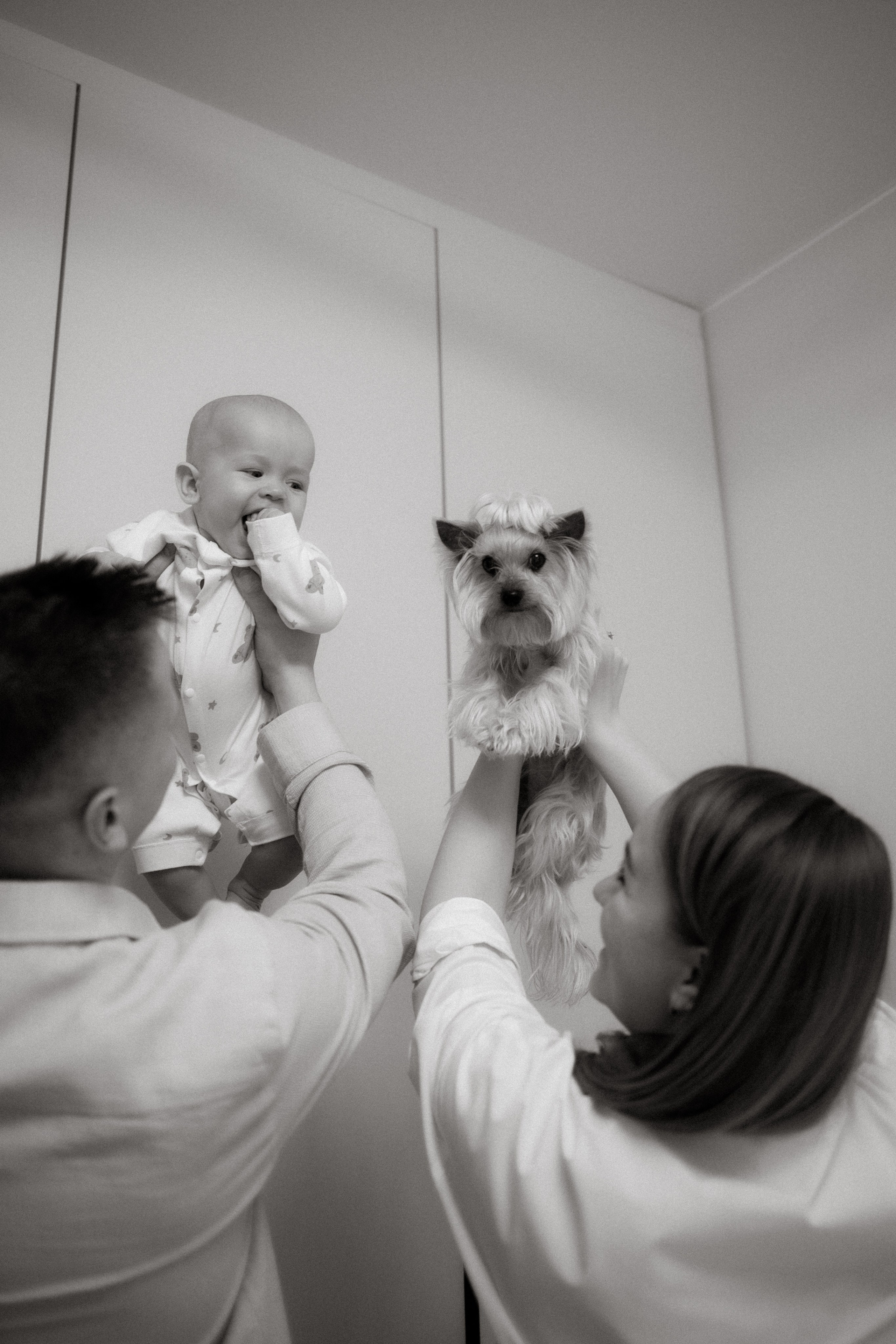 Вадим + Мария + Максим. Семейный и детский фотограф Юлия Шох