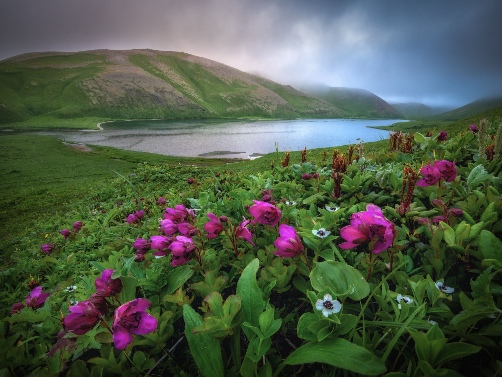 Фотоэкспедиция в Корякию и Командоры 2026