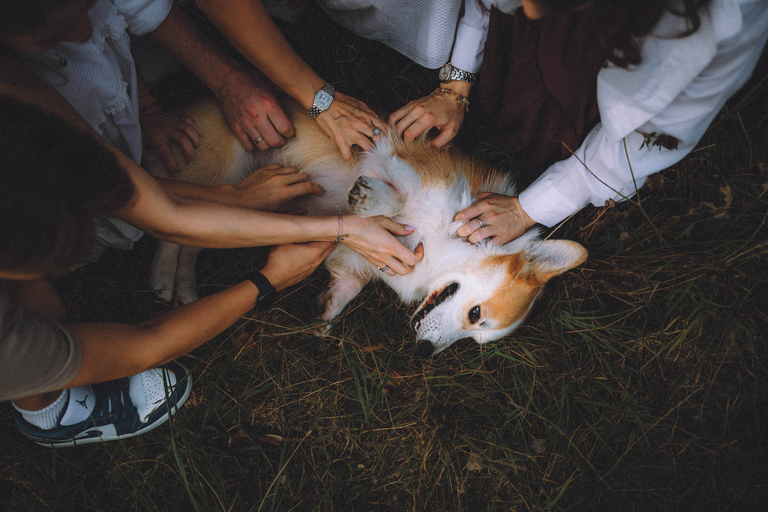 Арчи и его семья