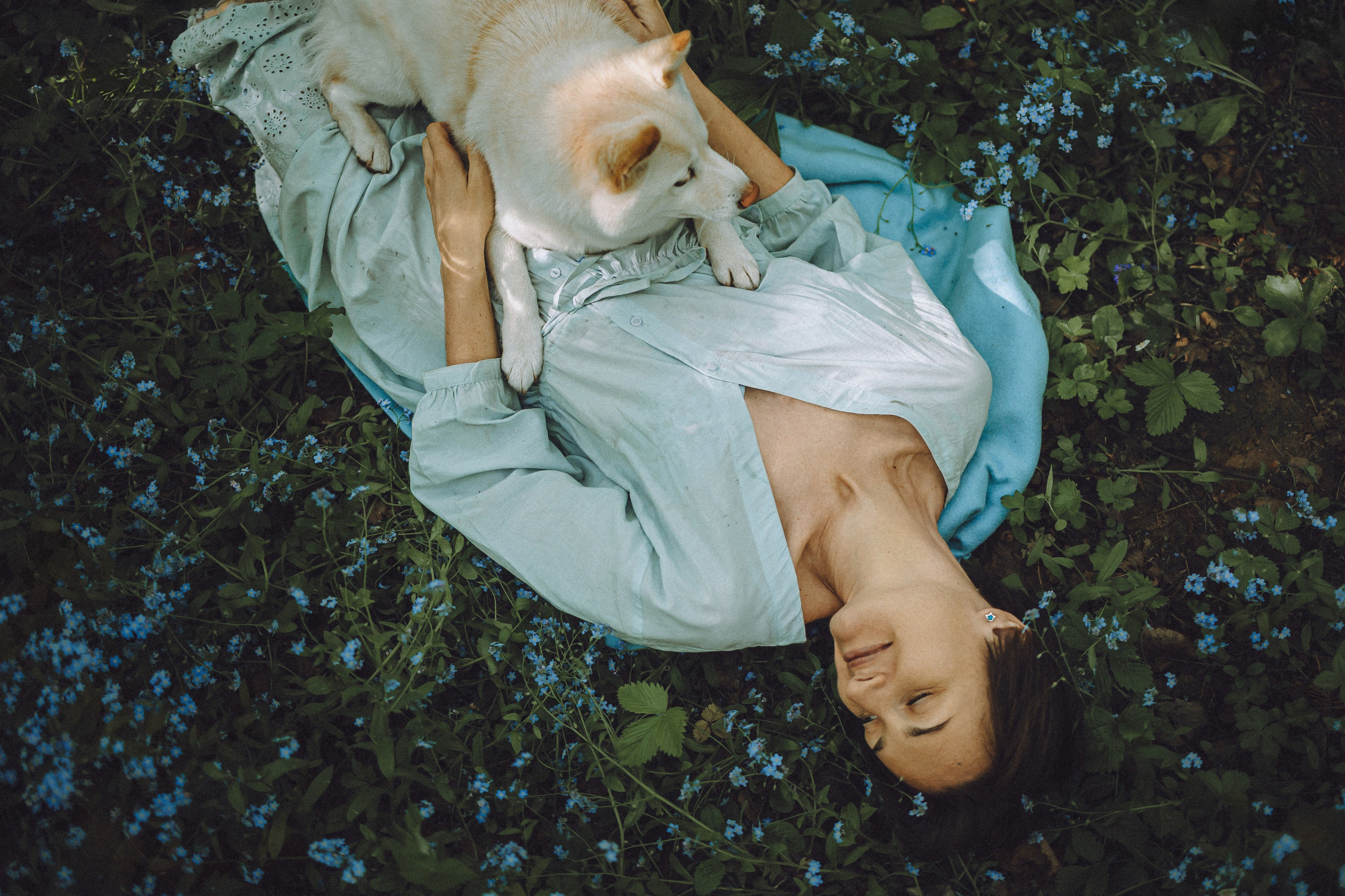 Шед, Цири, Чиби, Цера и их семья