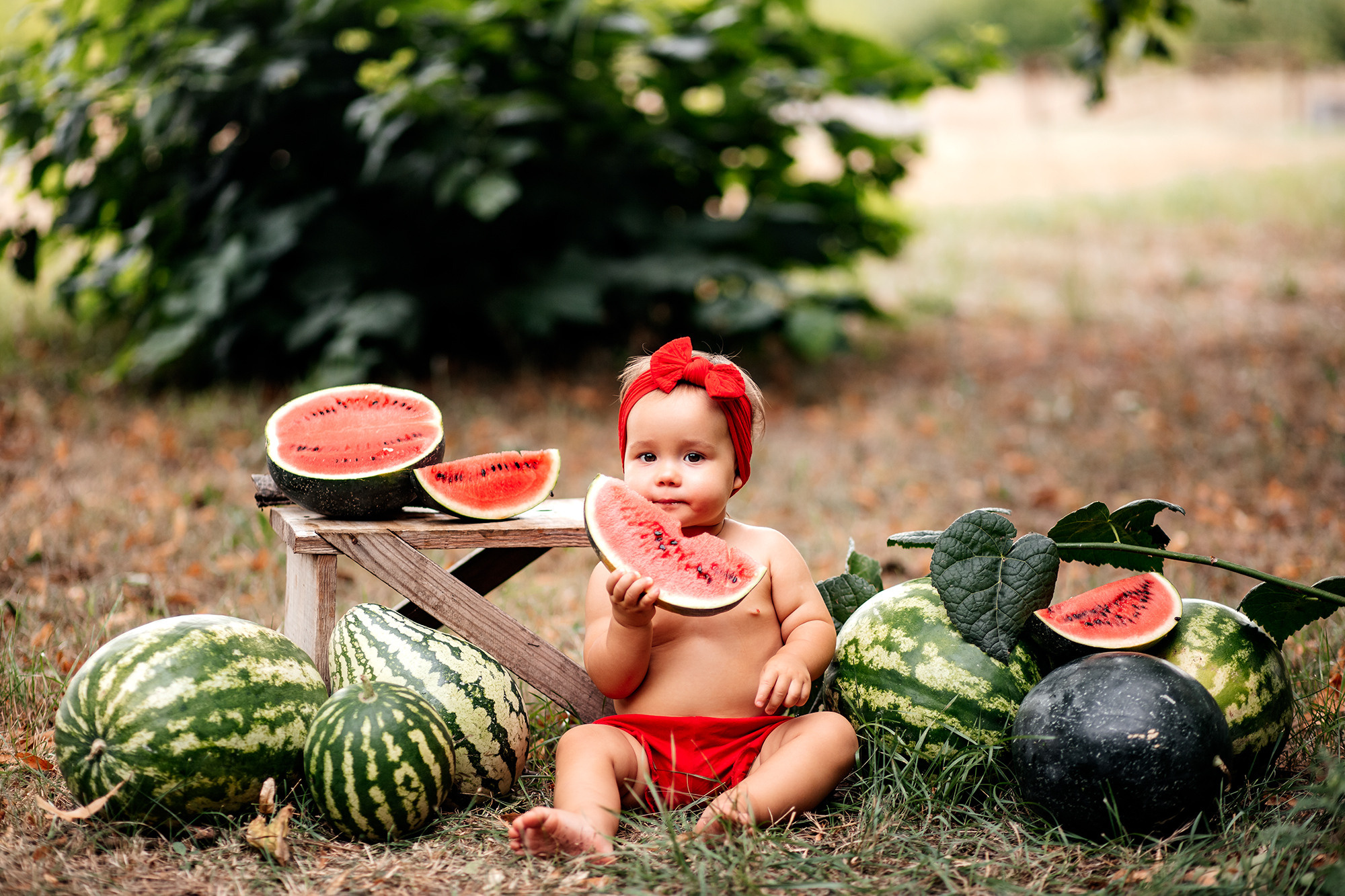 Летняя арбузная фотосессия. Семейный фотограф в Каневской Епифанова Ольга