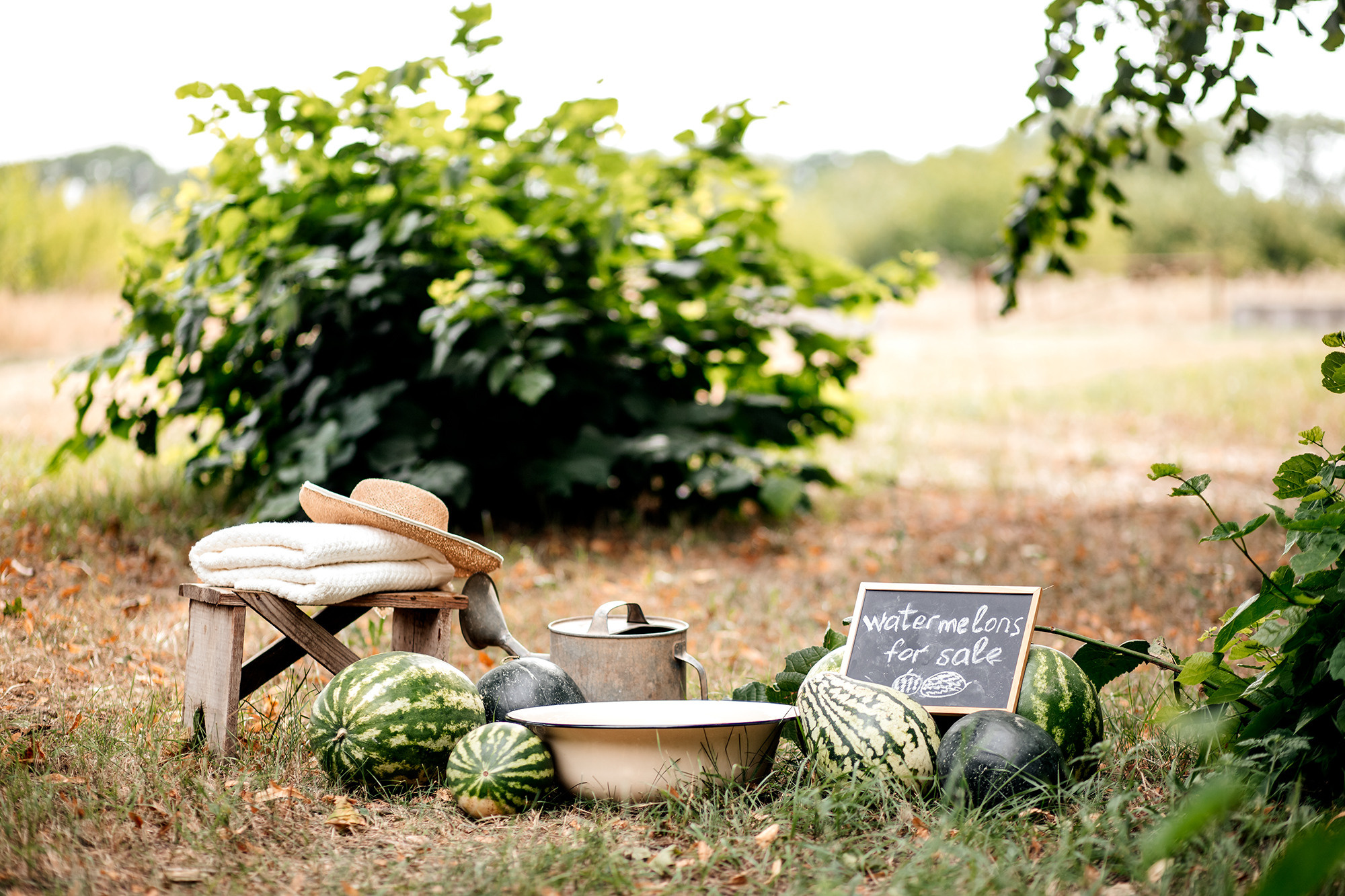 Летняя арбузная фотосессия. Семейный фотограф в Каневской Епифанова Ольга