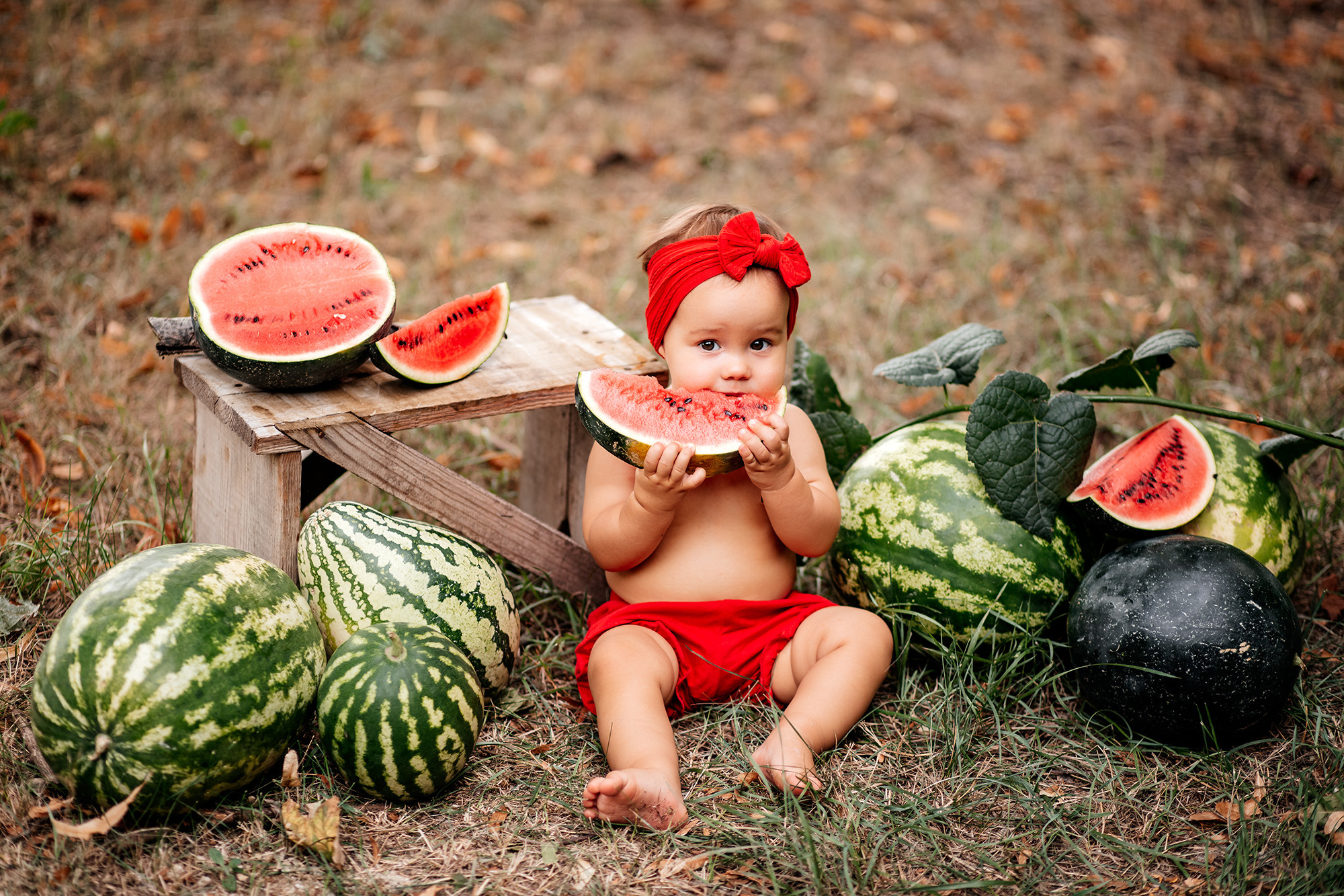 Летняя арбузная фотосессия. Семейный фотограф в Каневской Епифанова Ольга