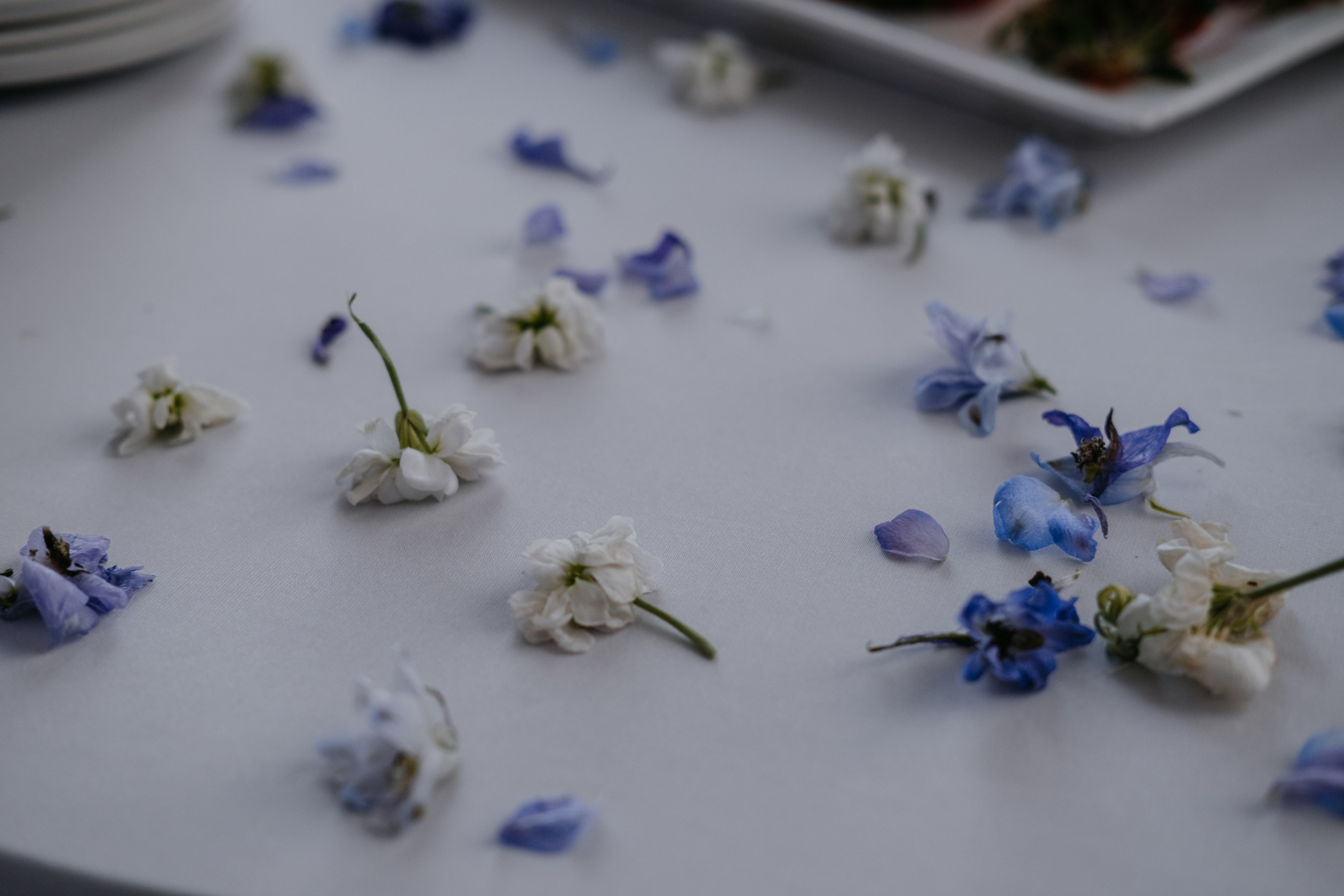 Ярослав и Елена. Фотограф в Астрахани Миронова Анастасия