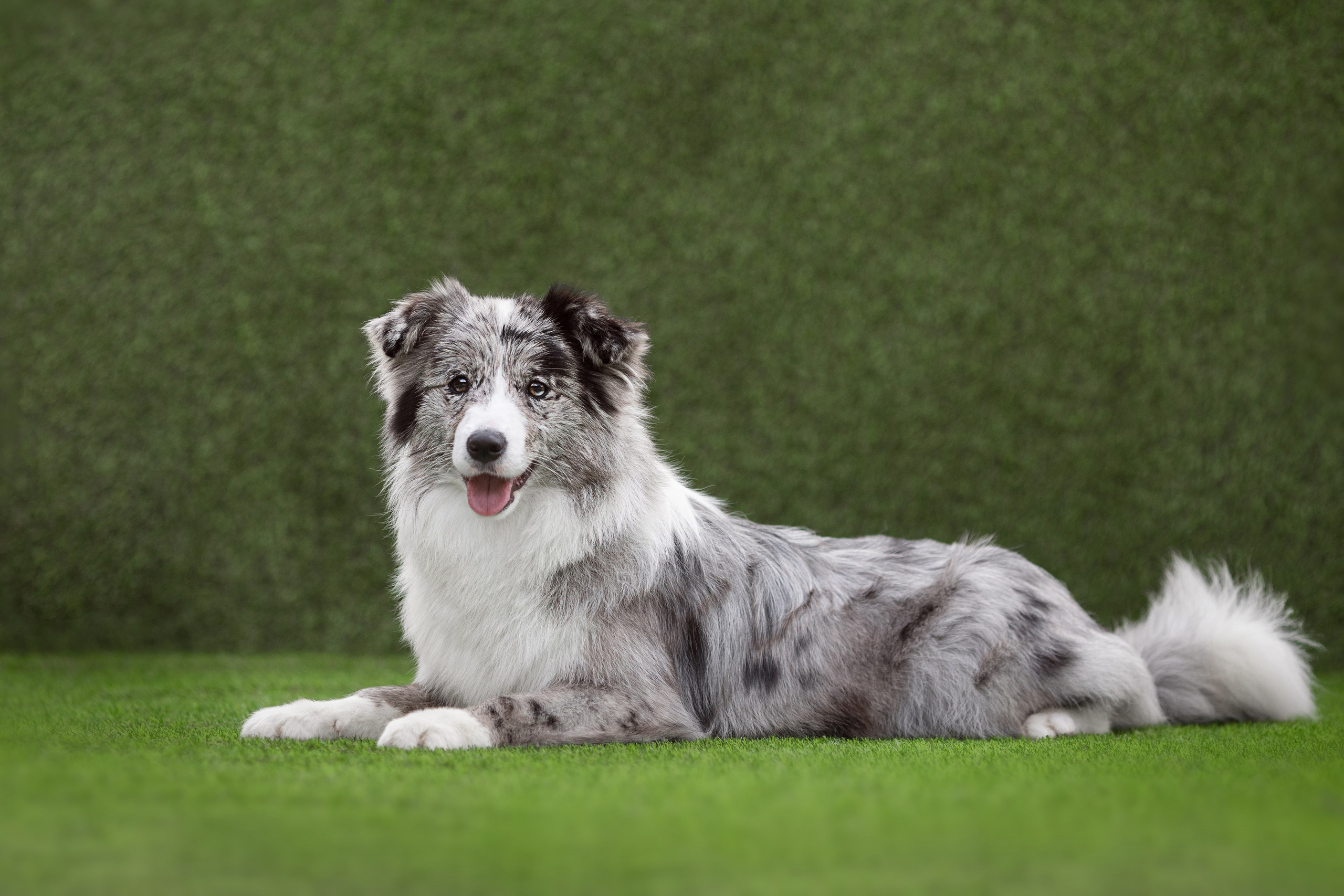 Роскошь в ростошах. О нас