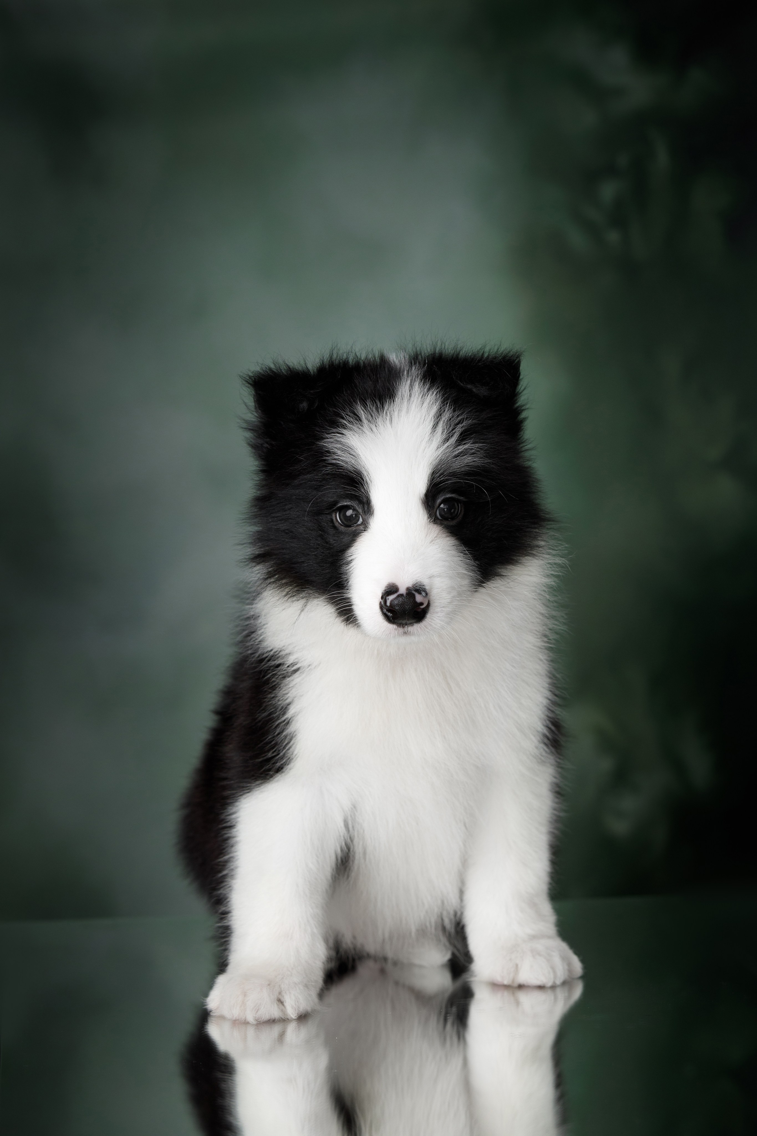 Март. Весна. 22. О нас