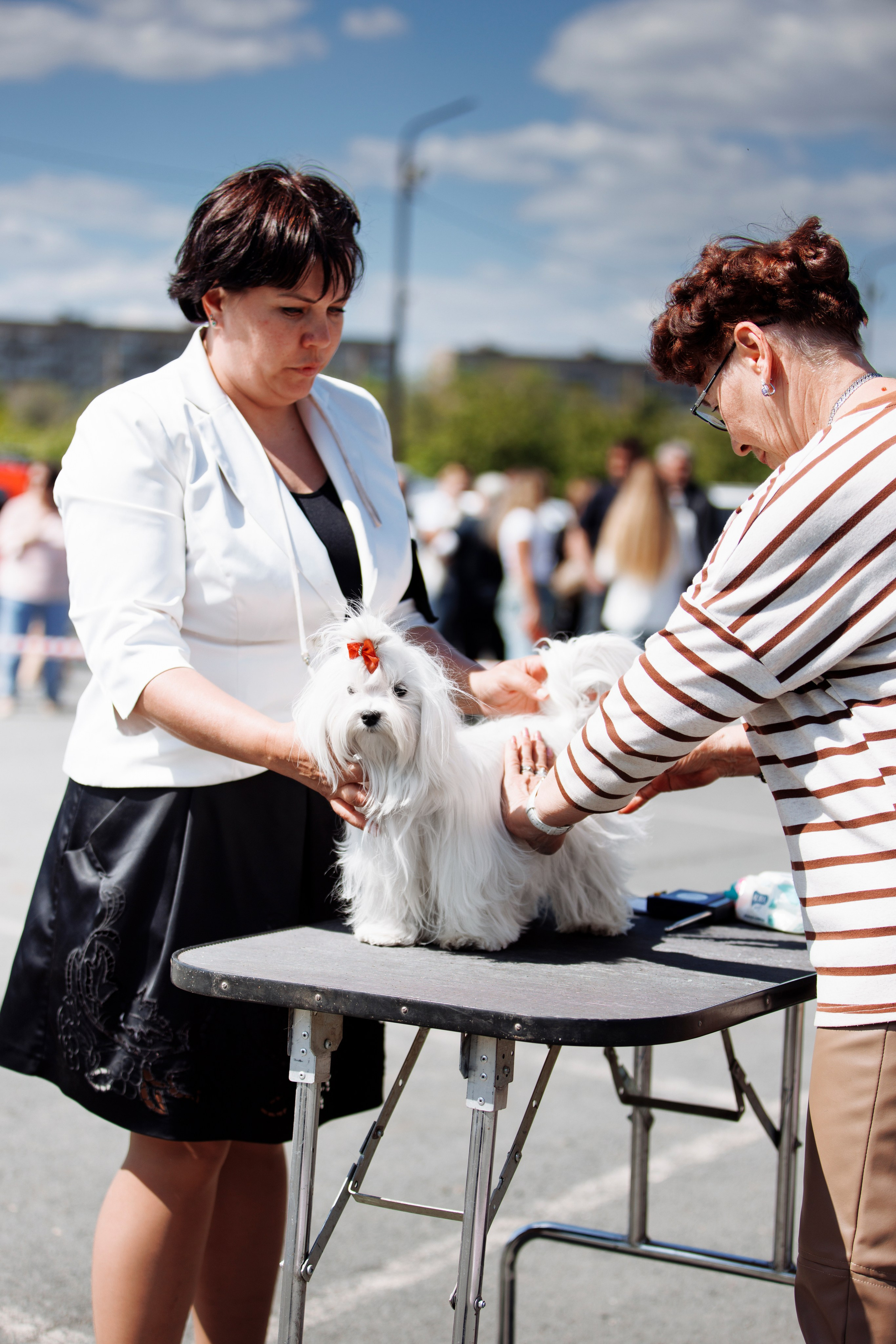 Такой разношерстный Орск 25. О нас