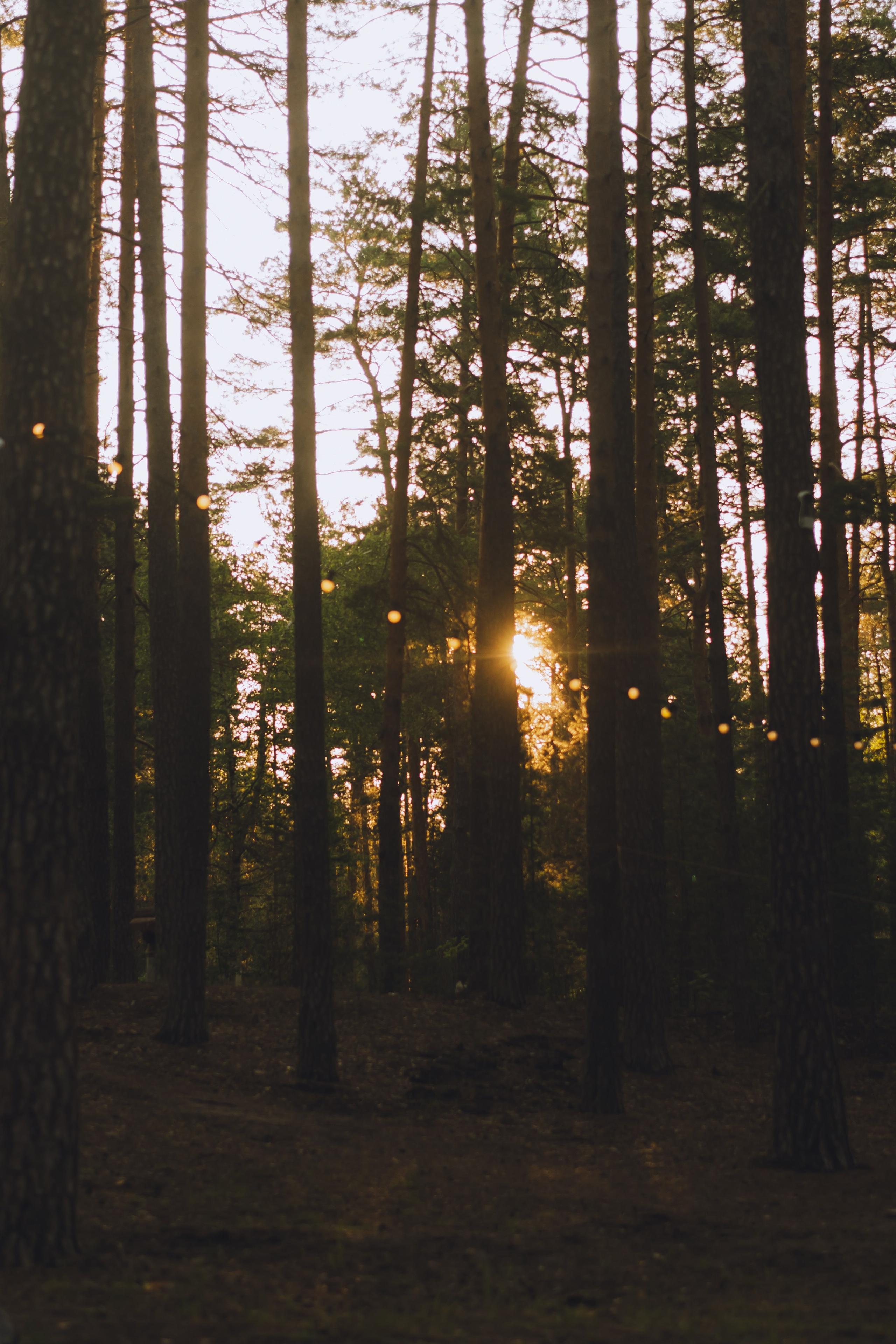 Палаточный форум CAMPot 2025. Фотограф Надежда Погребняк | Рязань | Москва