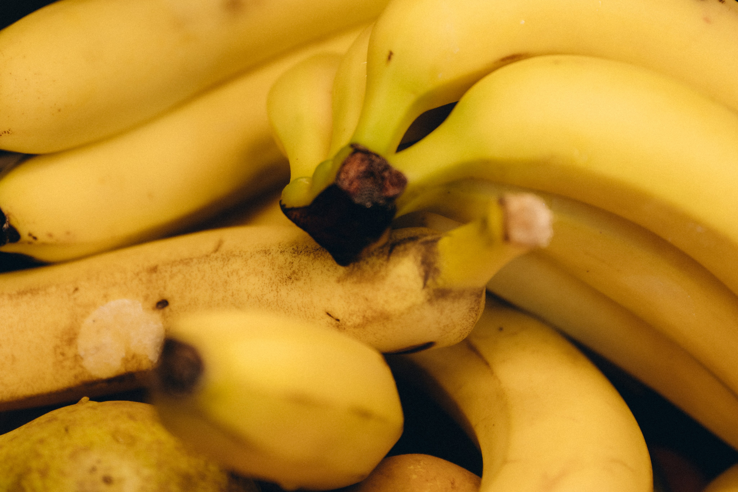 Рома. Фотограф Анастасия Егорова