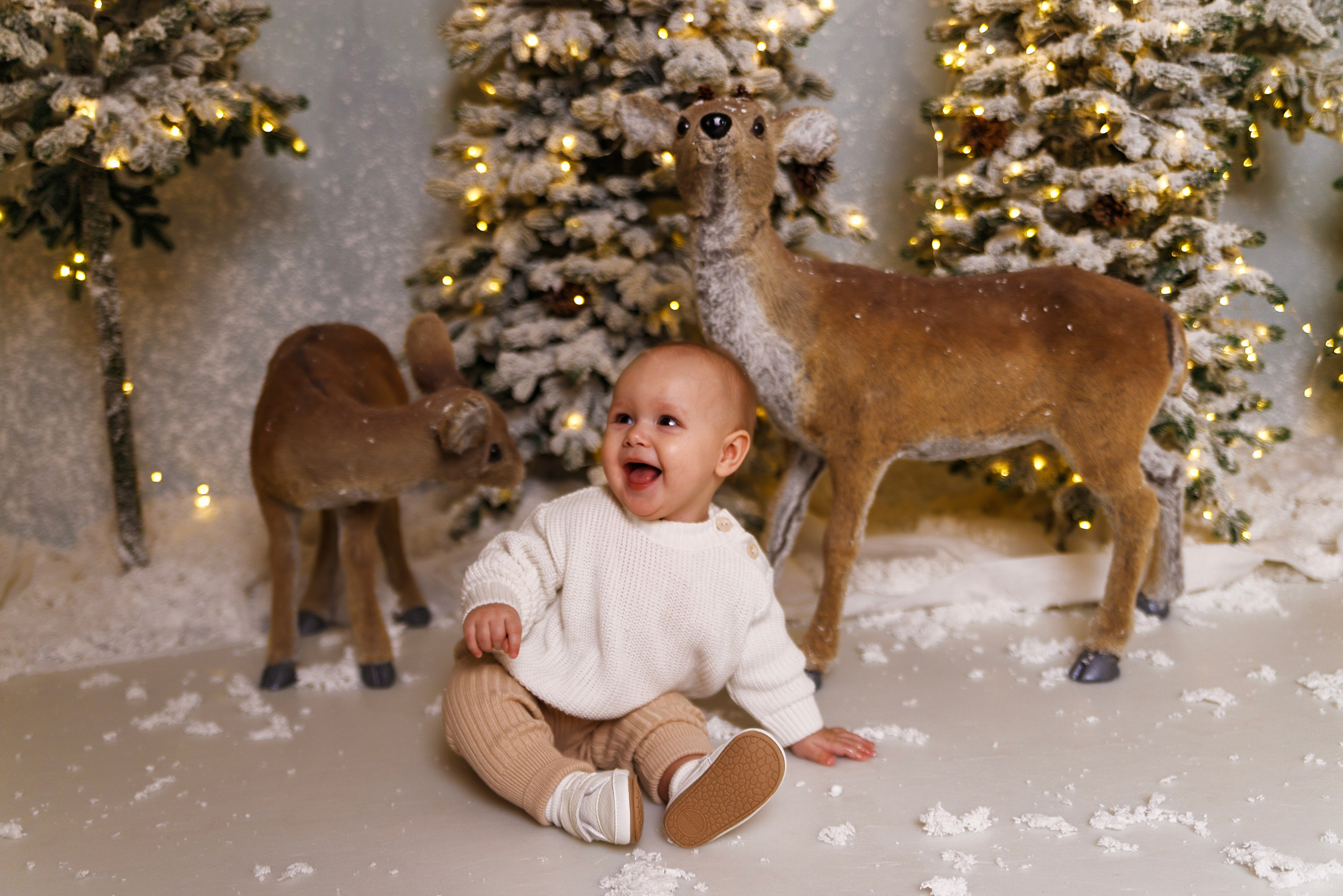 Новогодняя фотосессия. Семейный, свадебный и детский фотограф в Новосибирске Ольга Хидченко