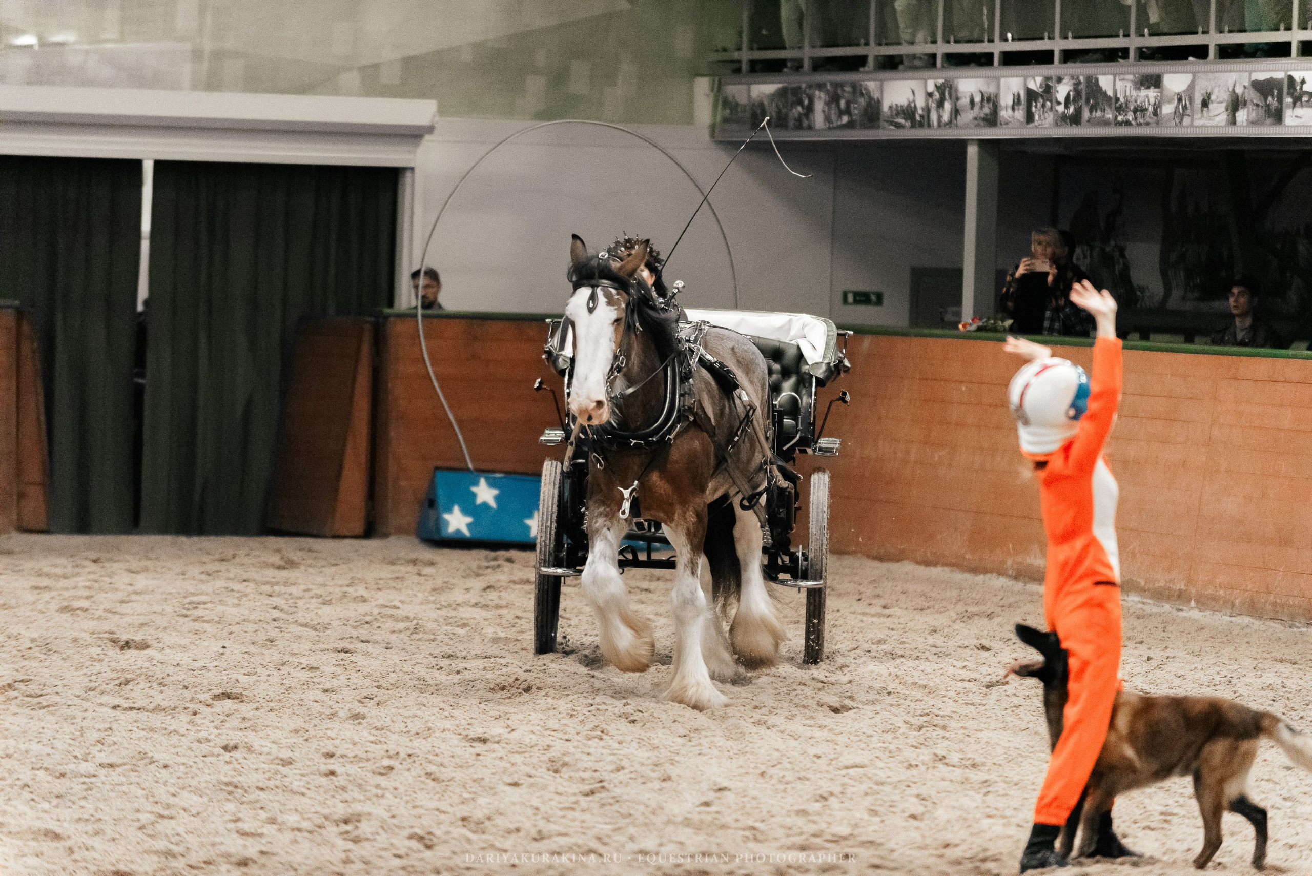 Конное представление «Дыхание Звёзд». Конный фотограф Куракина Дарья • Фотосессии с лошадьми