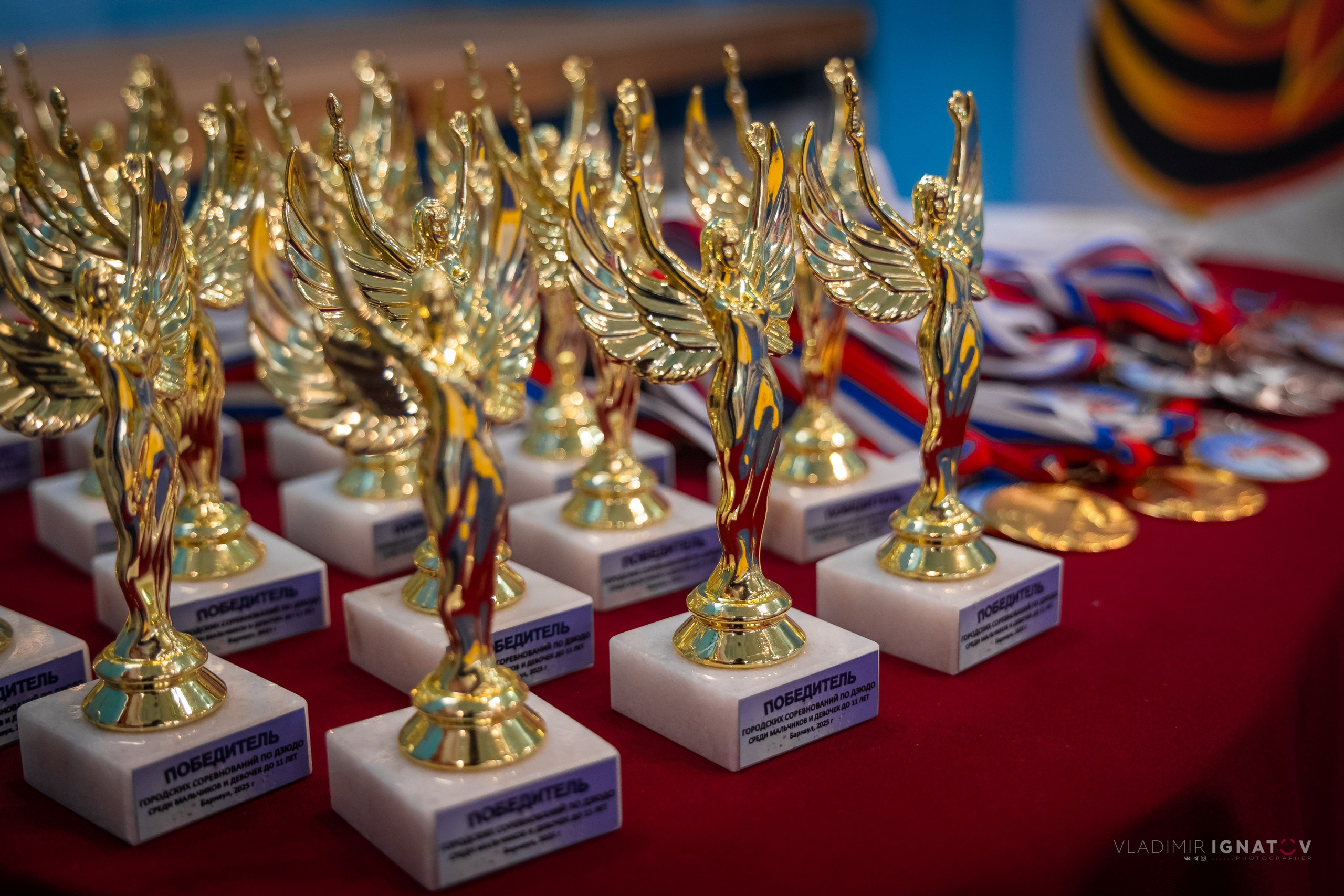 Городские соревнования по дзюдо посвященные 80-летию Победы в ВОВ. Репортажный фотограф в Барнауле Владимир Игнатов