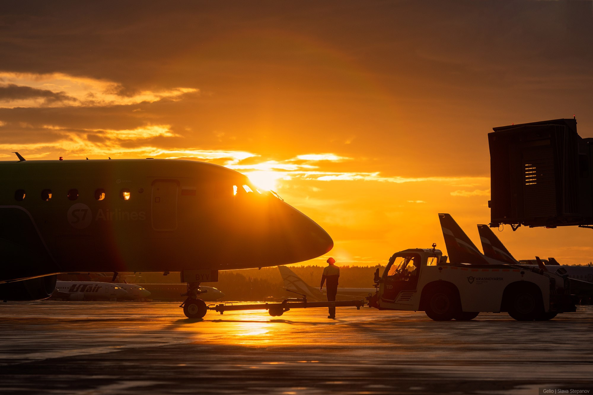 Аваиция. Фотограф Слава Степанов, Gelio