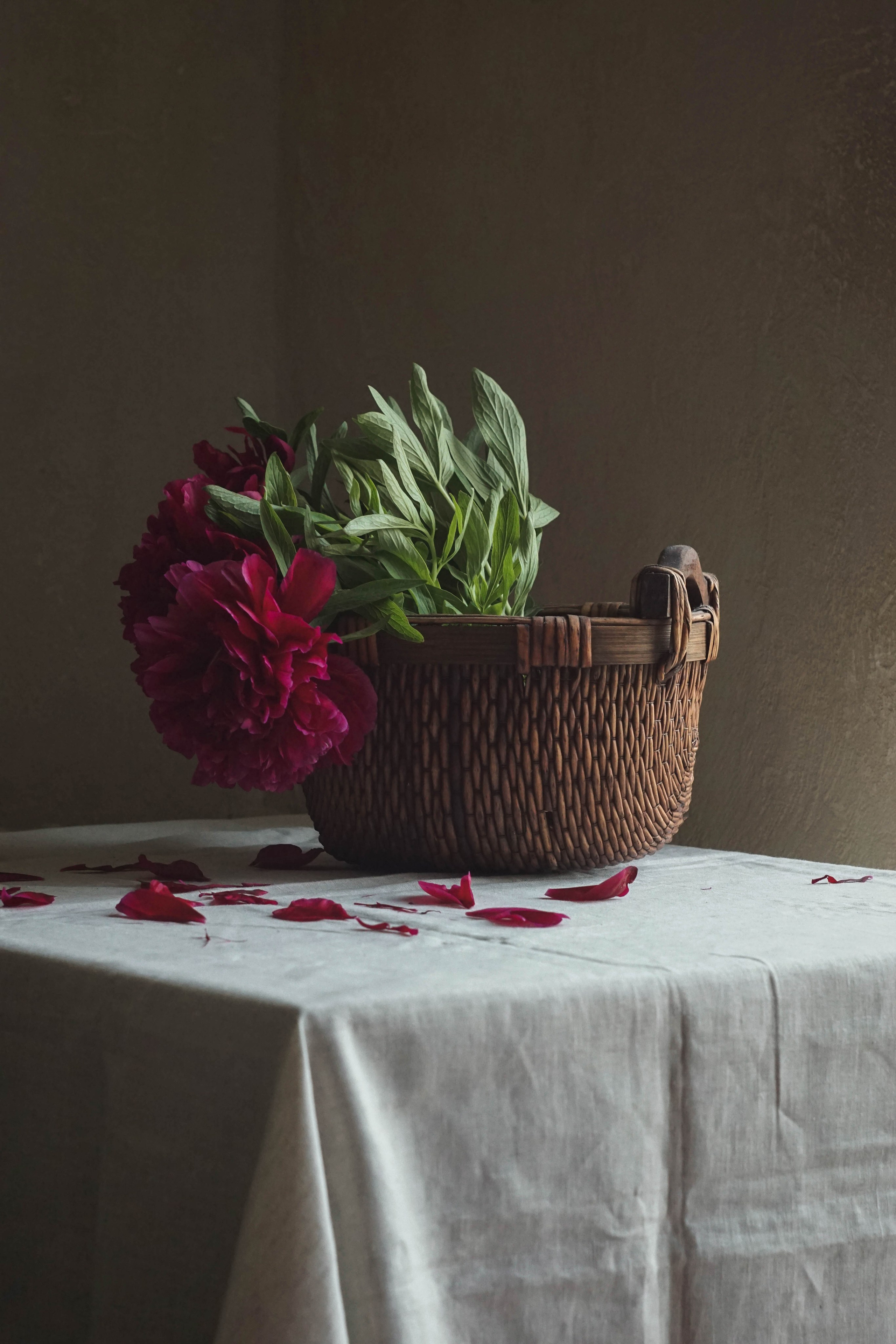 Still life. Контент Креатор Полякова Елизавета