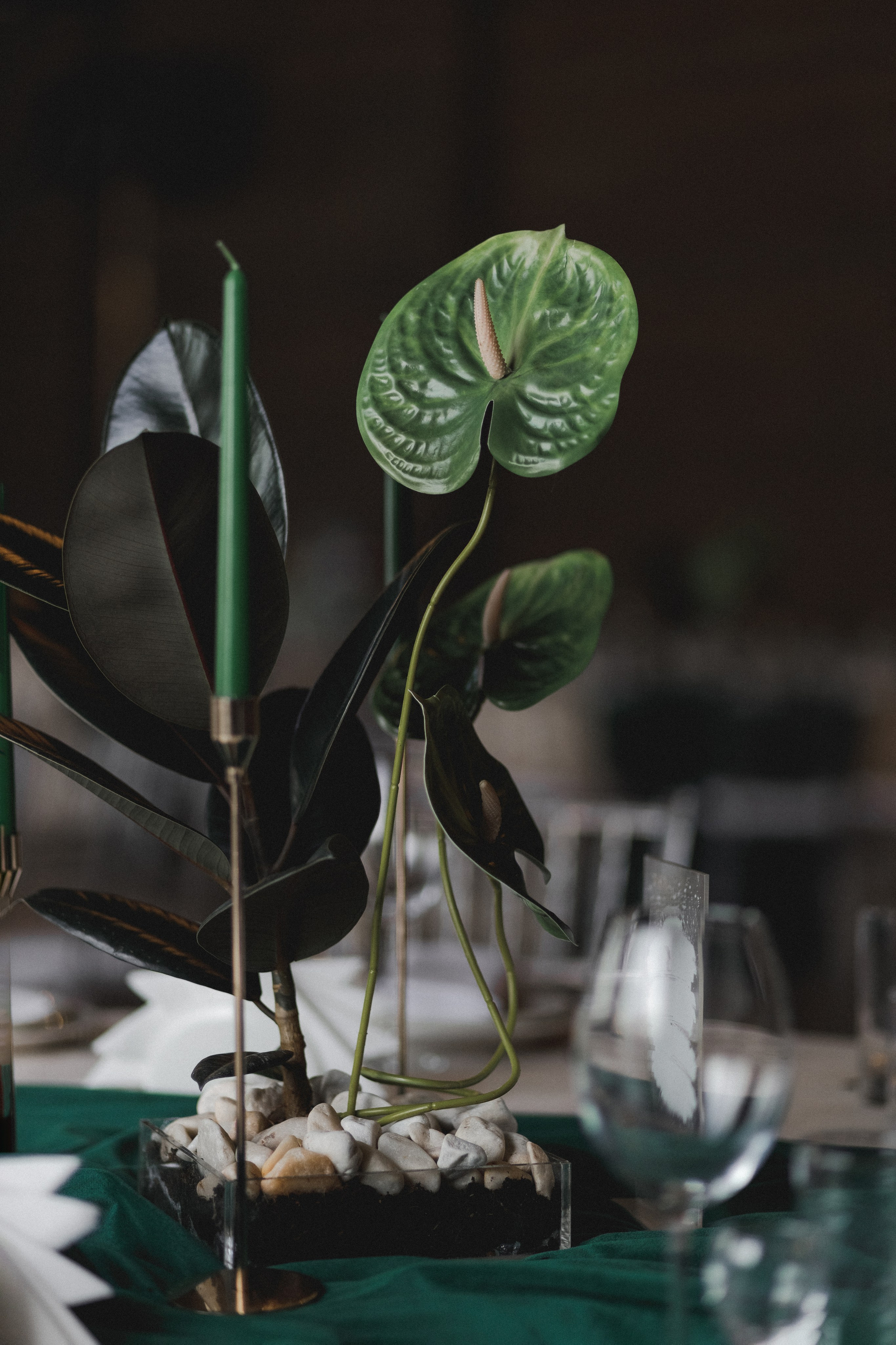 Artem|Dana. Фотограф Астана. Индивидуальные, парные и семейные фотосессии