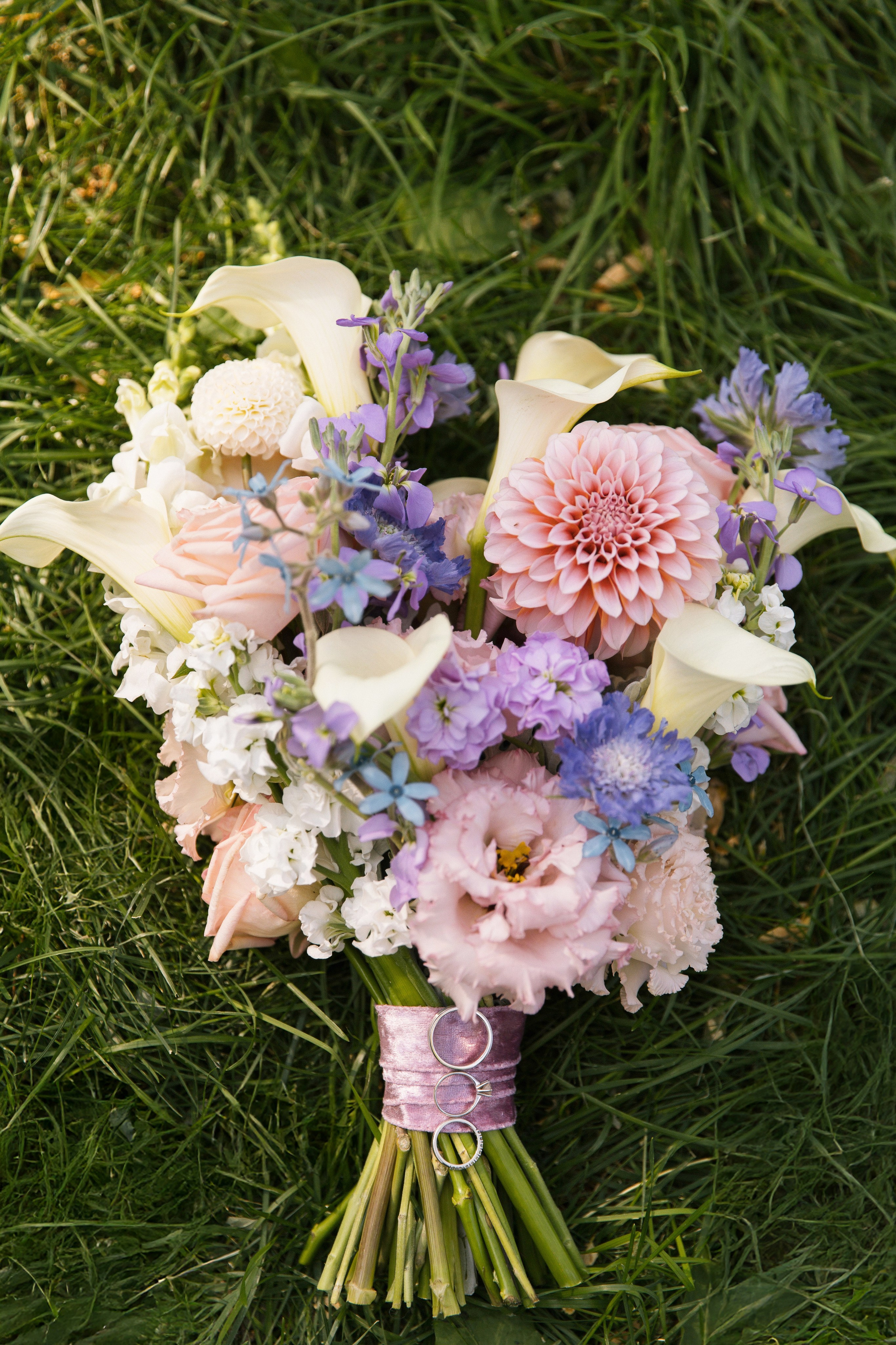 V ❤ A. Syrovatkina_Photographer.ru