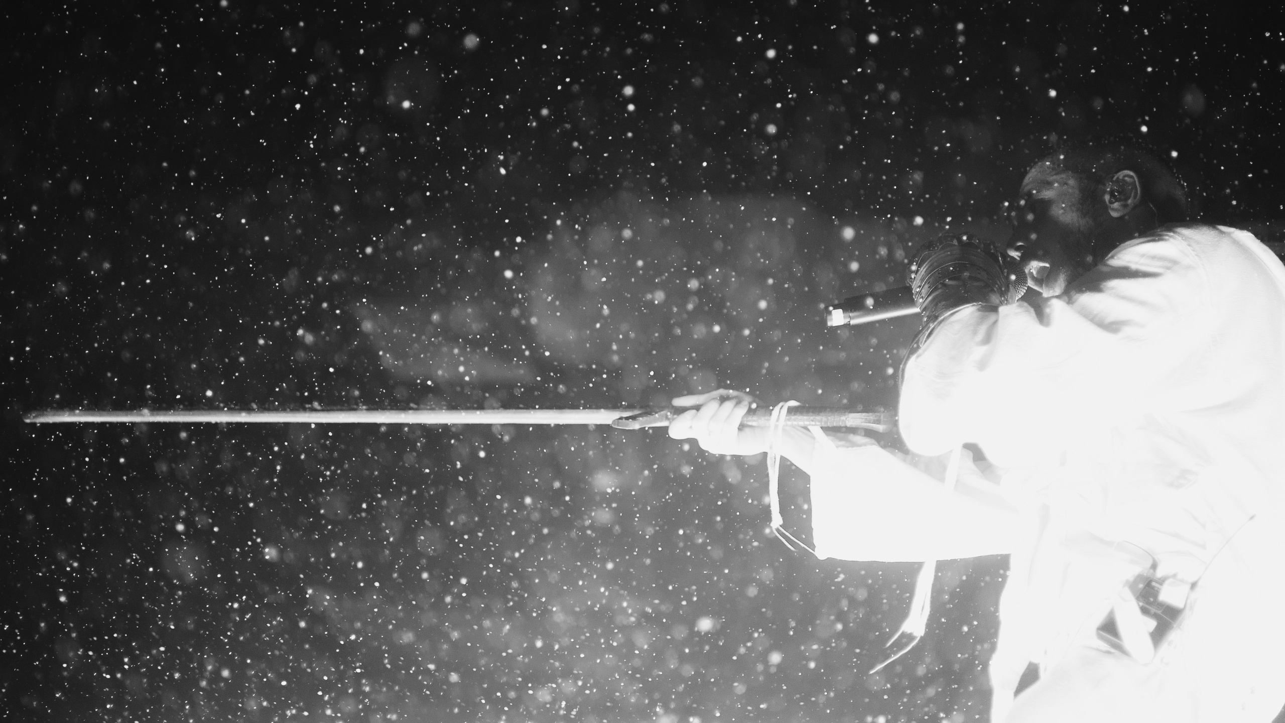 Хаски’25 «Партизан» Saint-Petersburg. RUSLAN ROZANOV